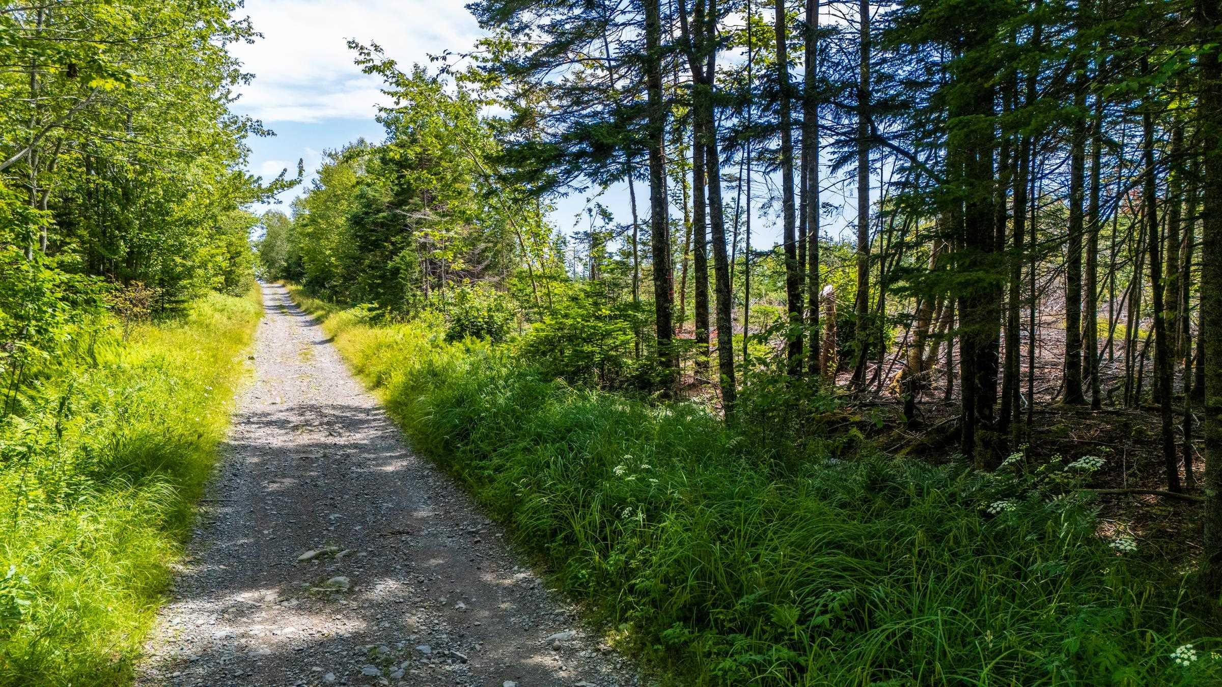 $18,000.00: Lot Bonnenfant Road, Church Point Station