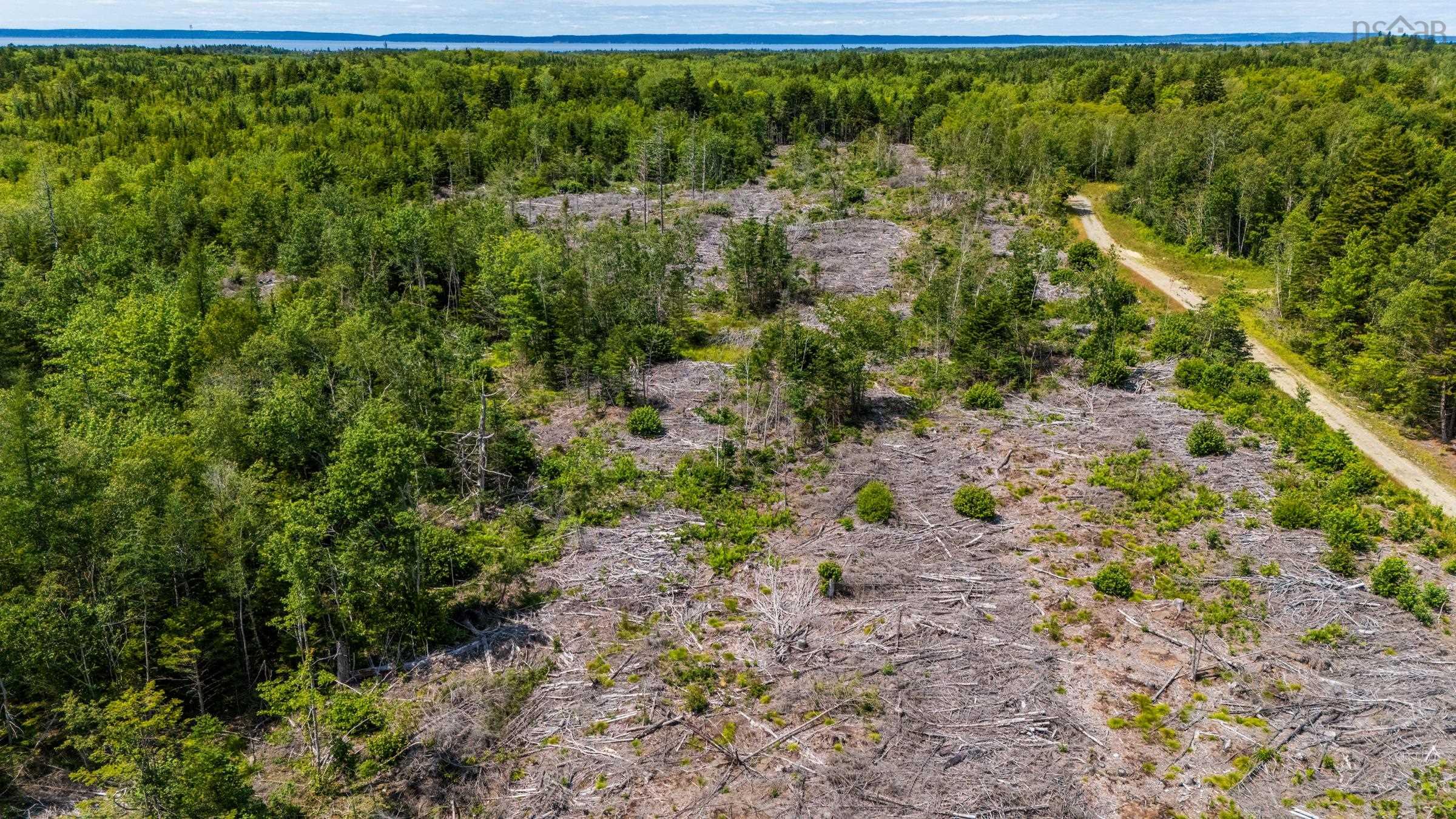 $18,000.00: Lot Bonnenfant Road, Church Point Station