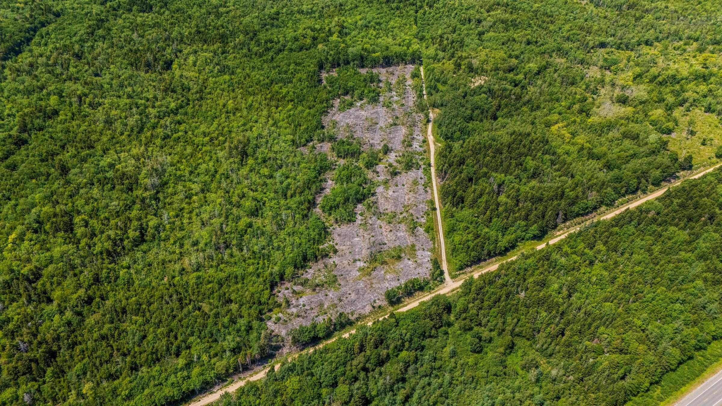 $18,000.00: Lot Bonnenfant Road, Church Point Station