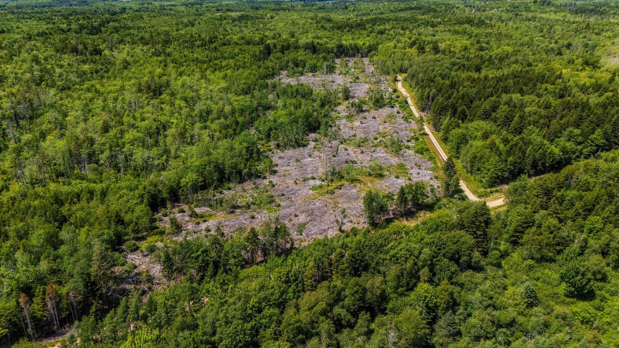 $18,000.00: Lot Bonnenfant Road, Church Point Station