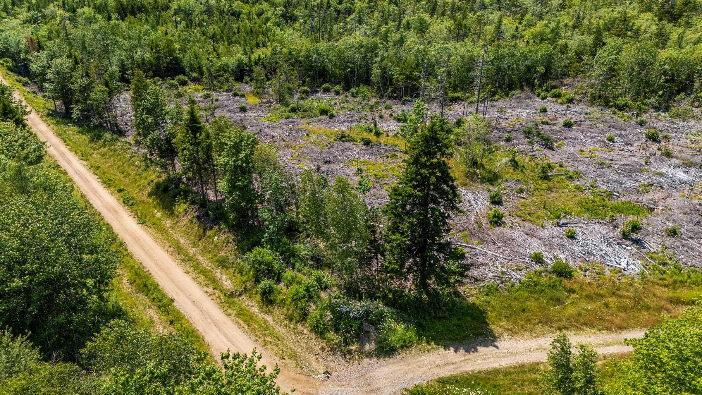 $18,000.00: Lot Bonnenfant Road, Church Point Station