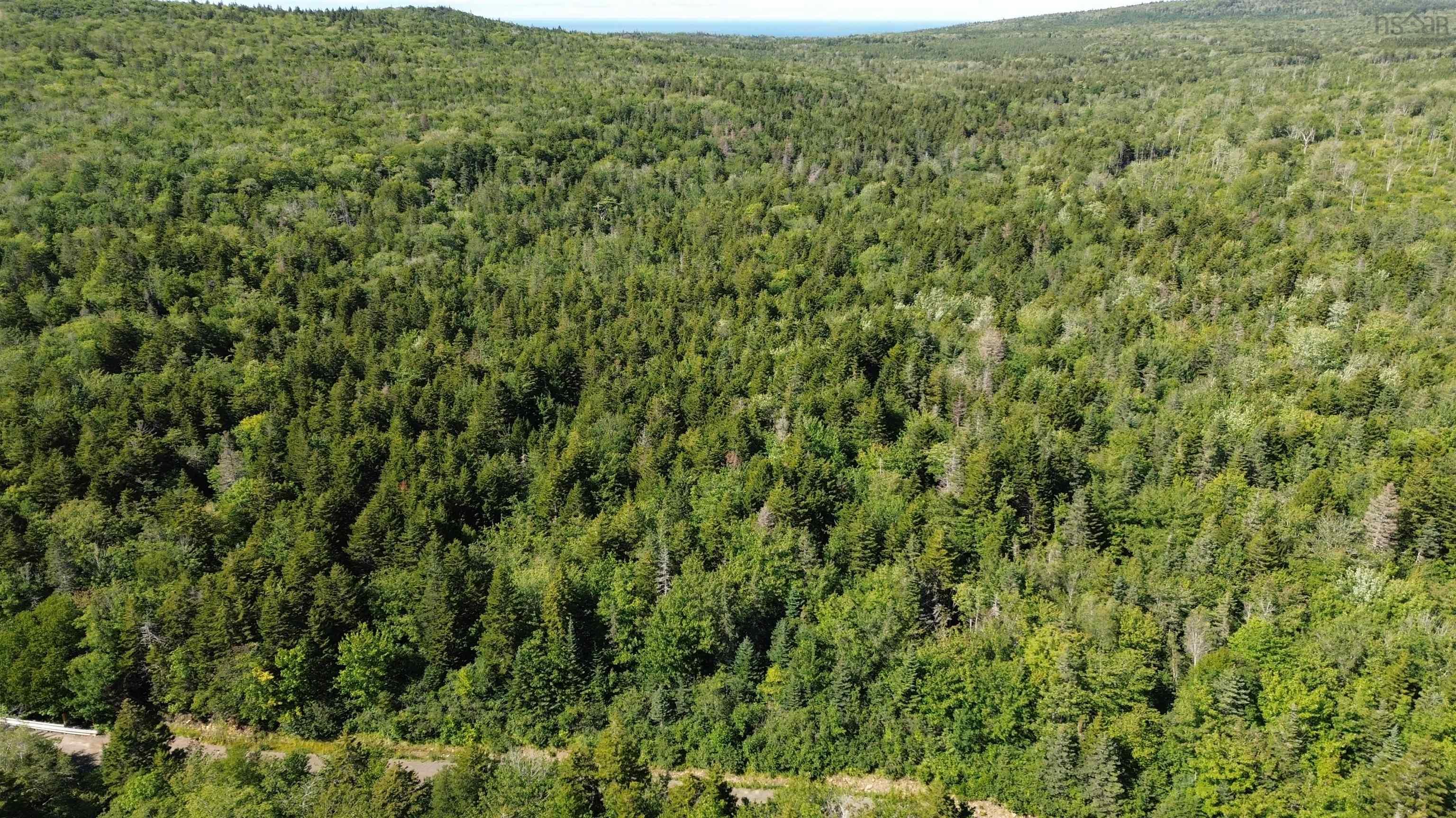 $27,000.00: Lot Old Mountain Road, Rossway