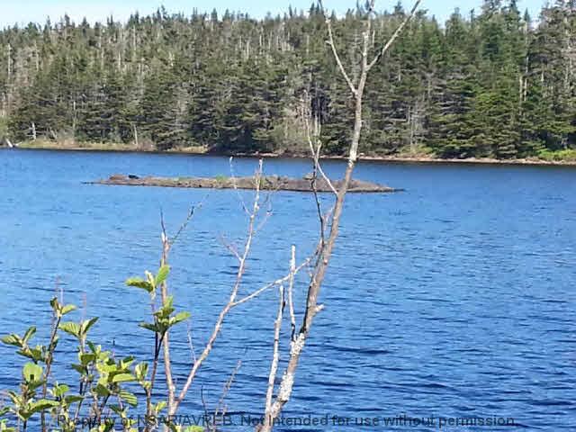 $102,000.00: Lot 11 East Side Grand River Road, Grand River