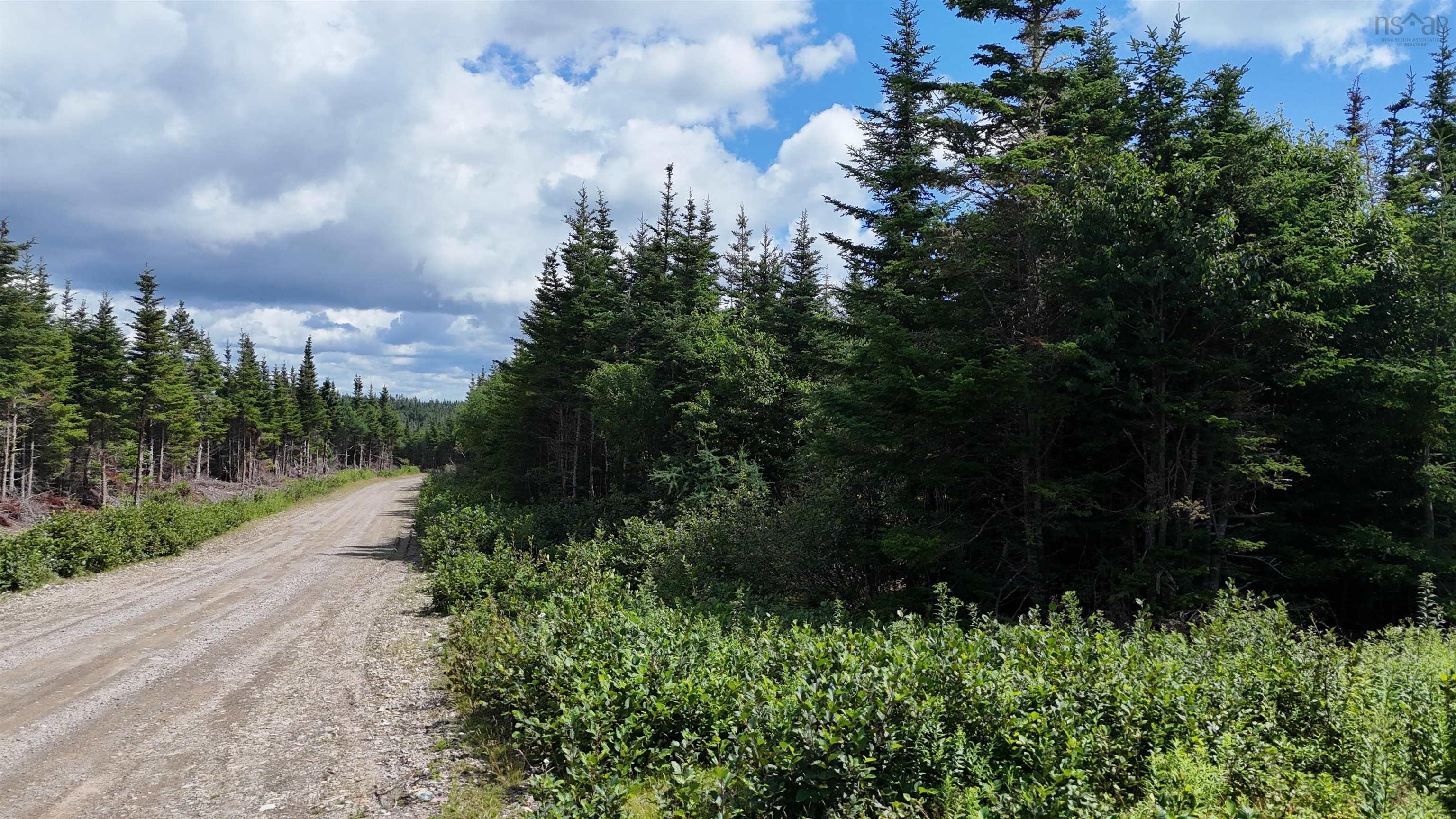 $105,000.00: Lot 13 East Side Grand River Road, Grand River