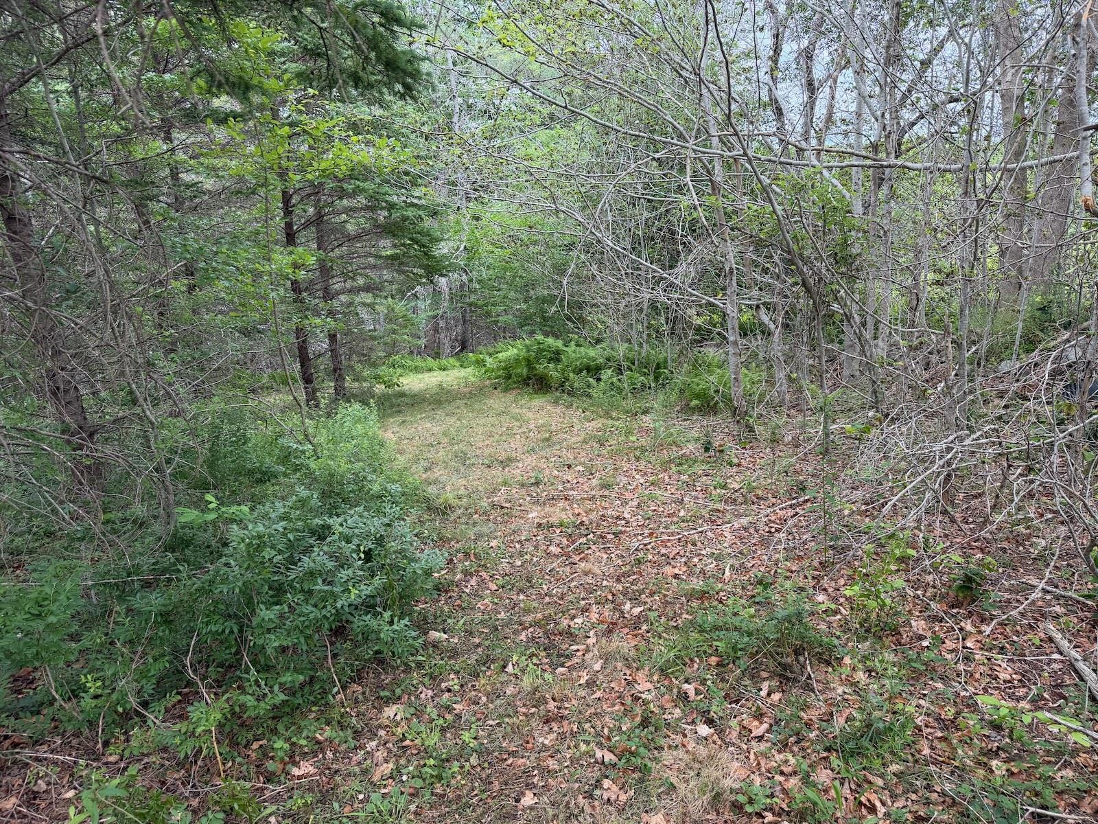 $99,500.00: 4620 340 Highway, Carleton