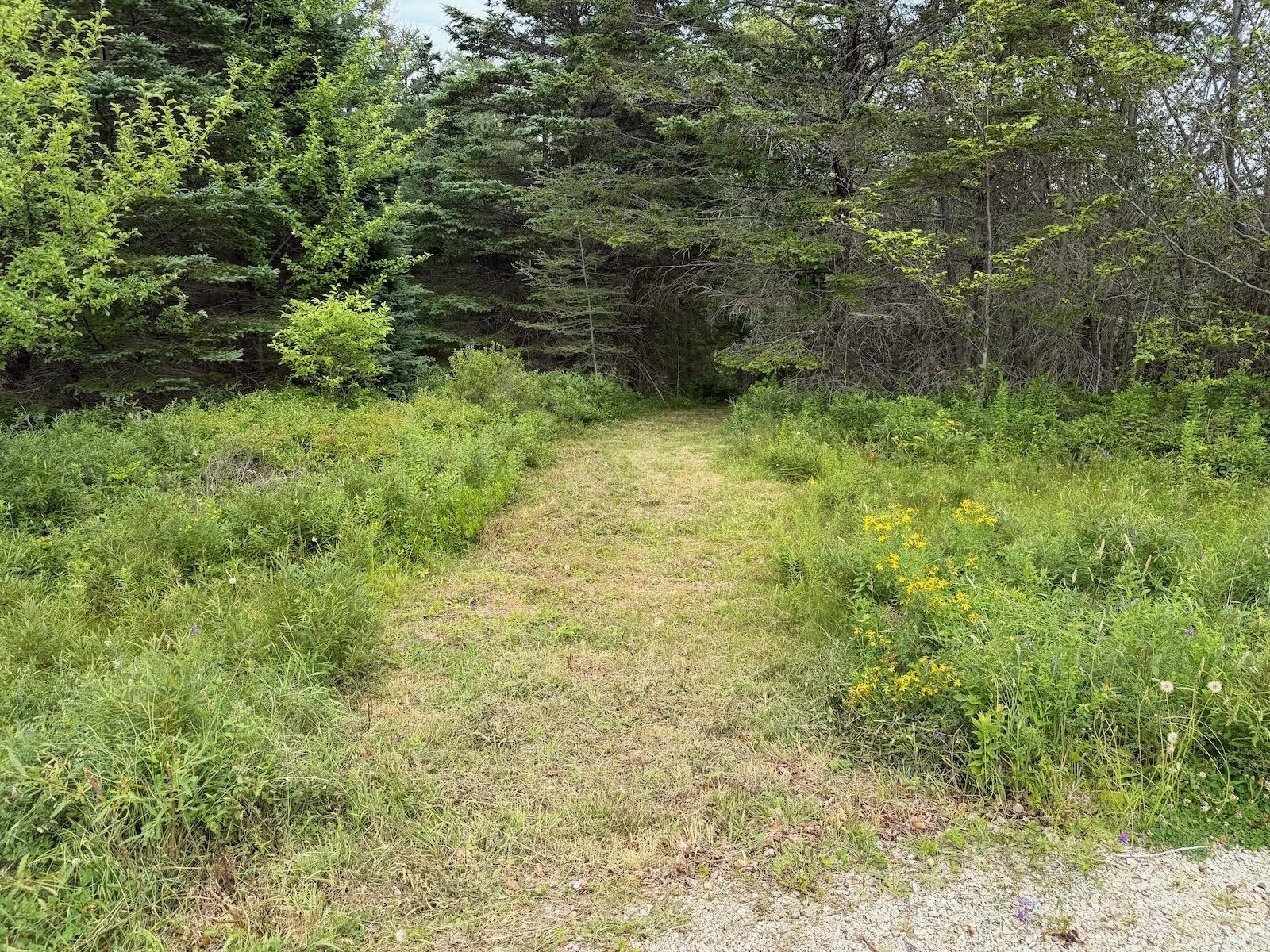 $99,500.00: 4620 340 Highway, Carleton