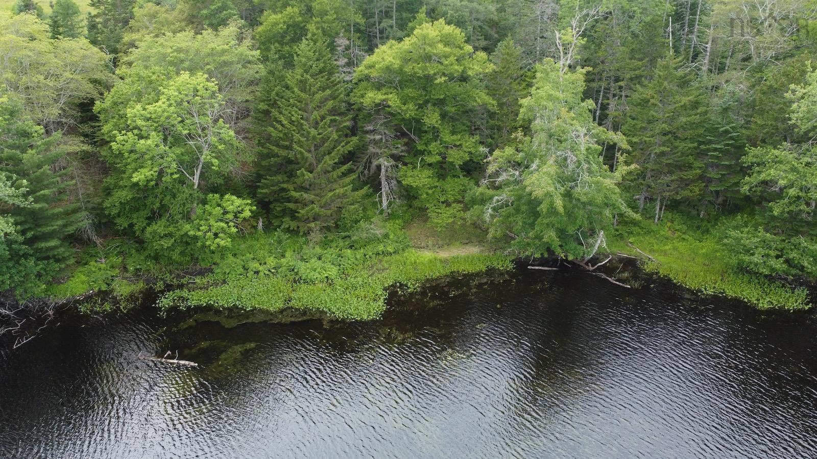 $99,500.00: 4620 340 Highway, Carleton