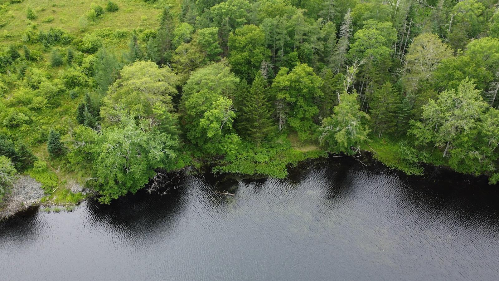 $99,500.00: 4620 340 Highway, Carleton