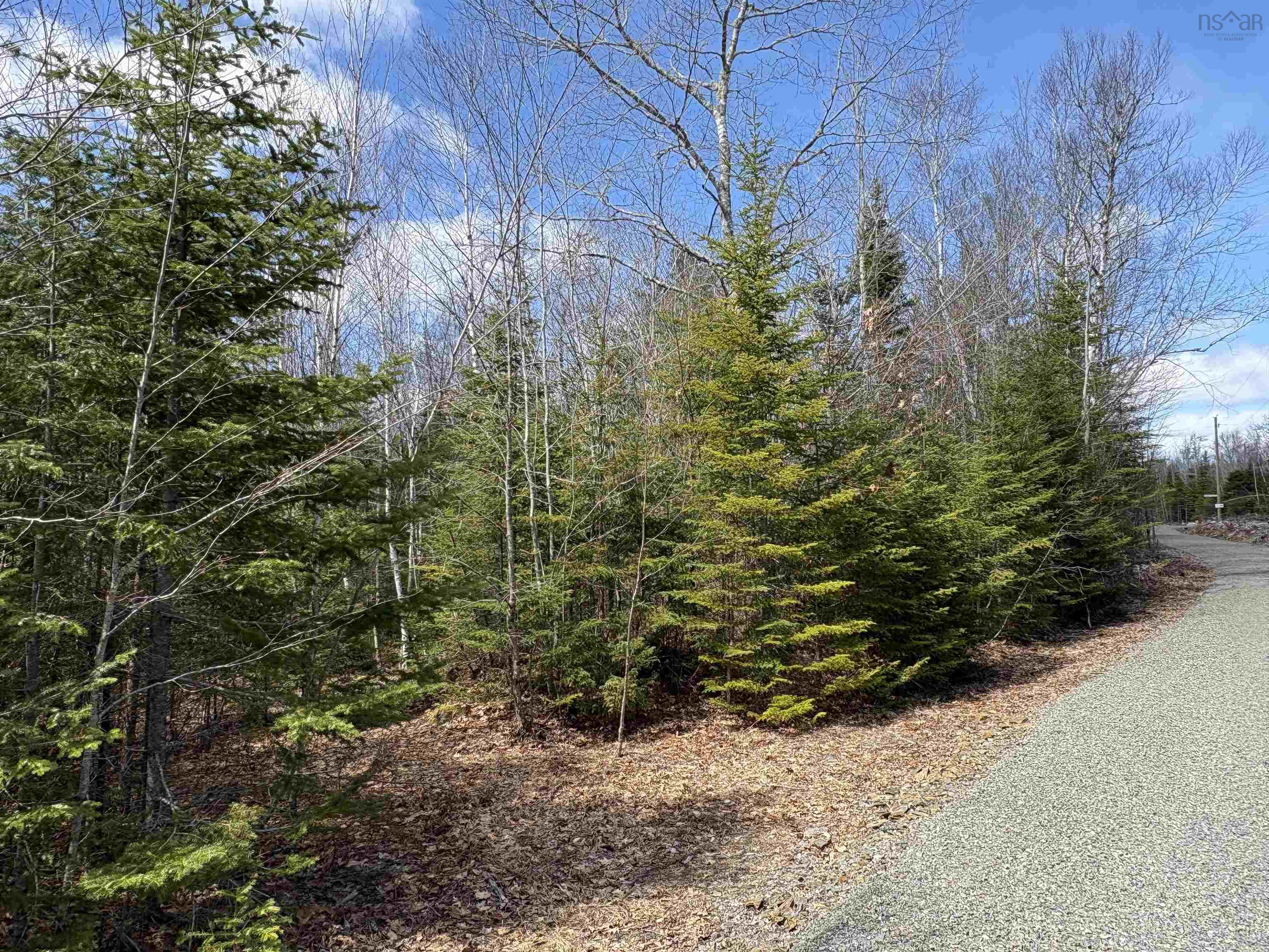 $49,900.00: Walburne Road, Newburne