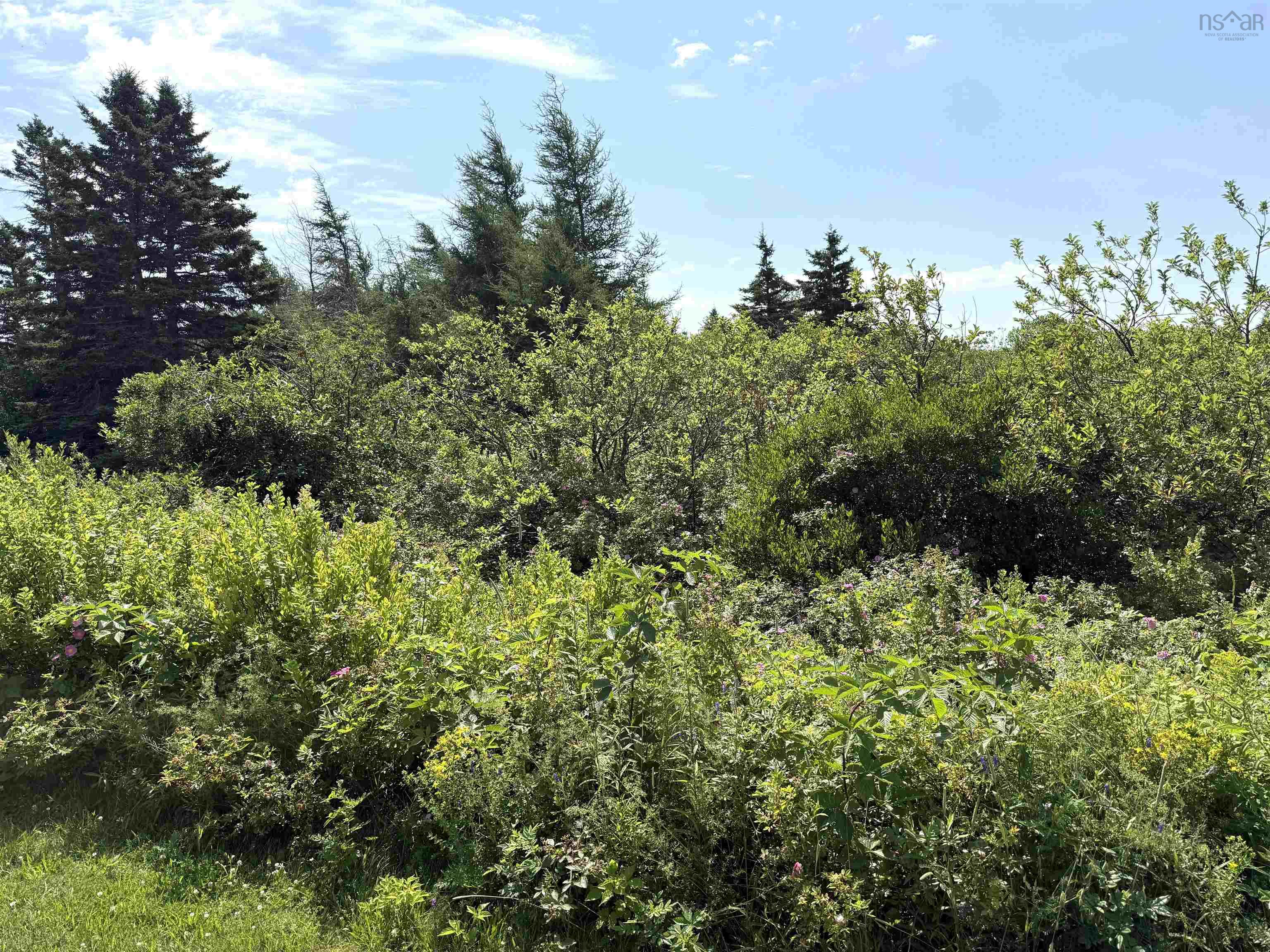 $109,000.00: Lot 32 Elderberry Drive, Malagash Point
