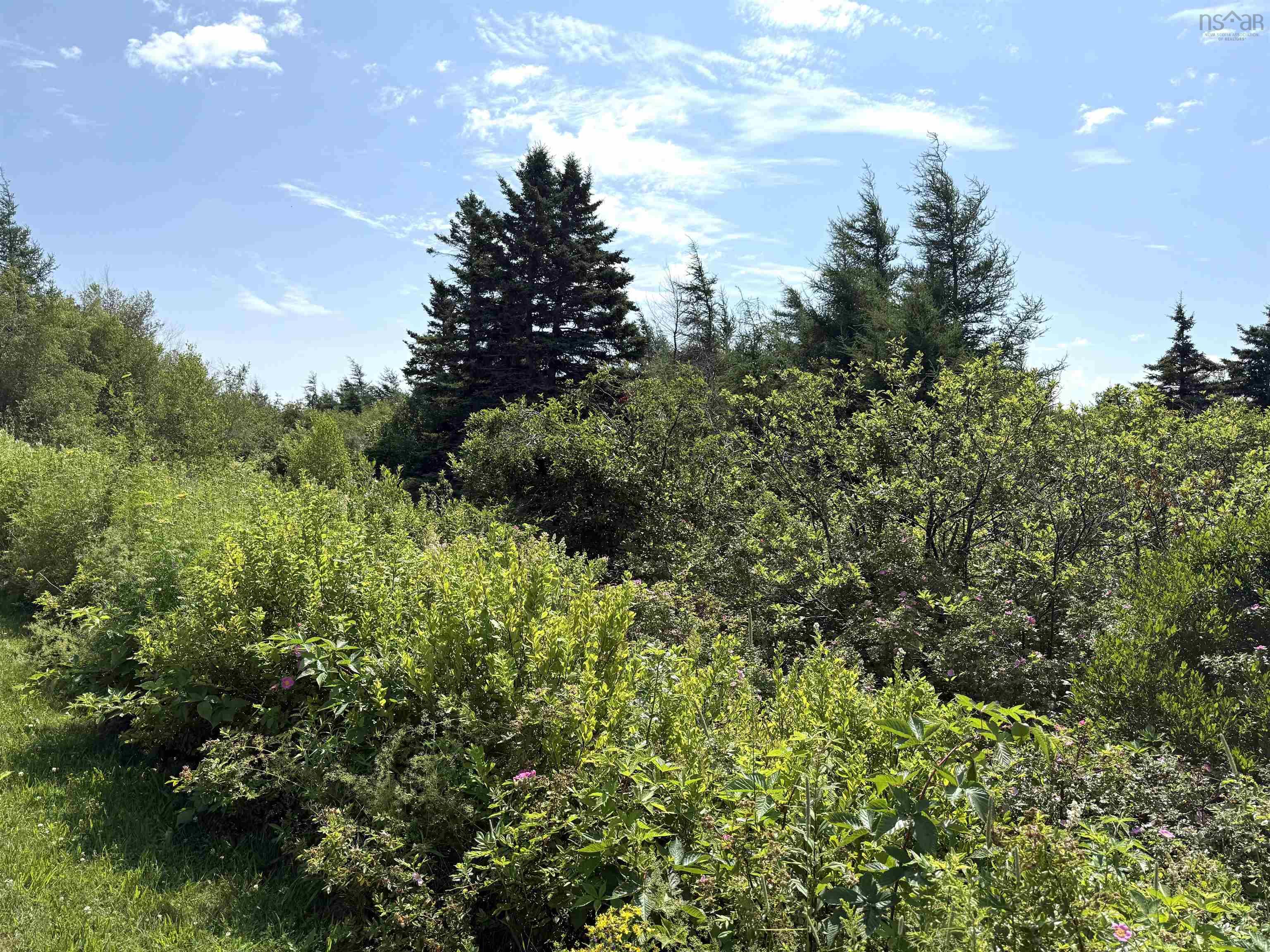 $109,000.00: Lot 32 Elderberry Drive, Malagash Point
