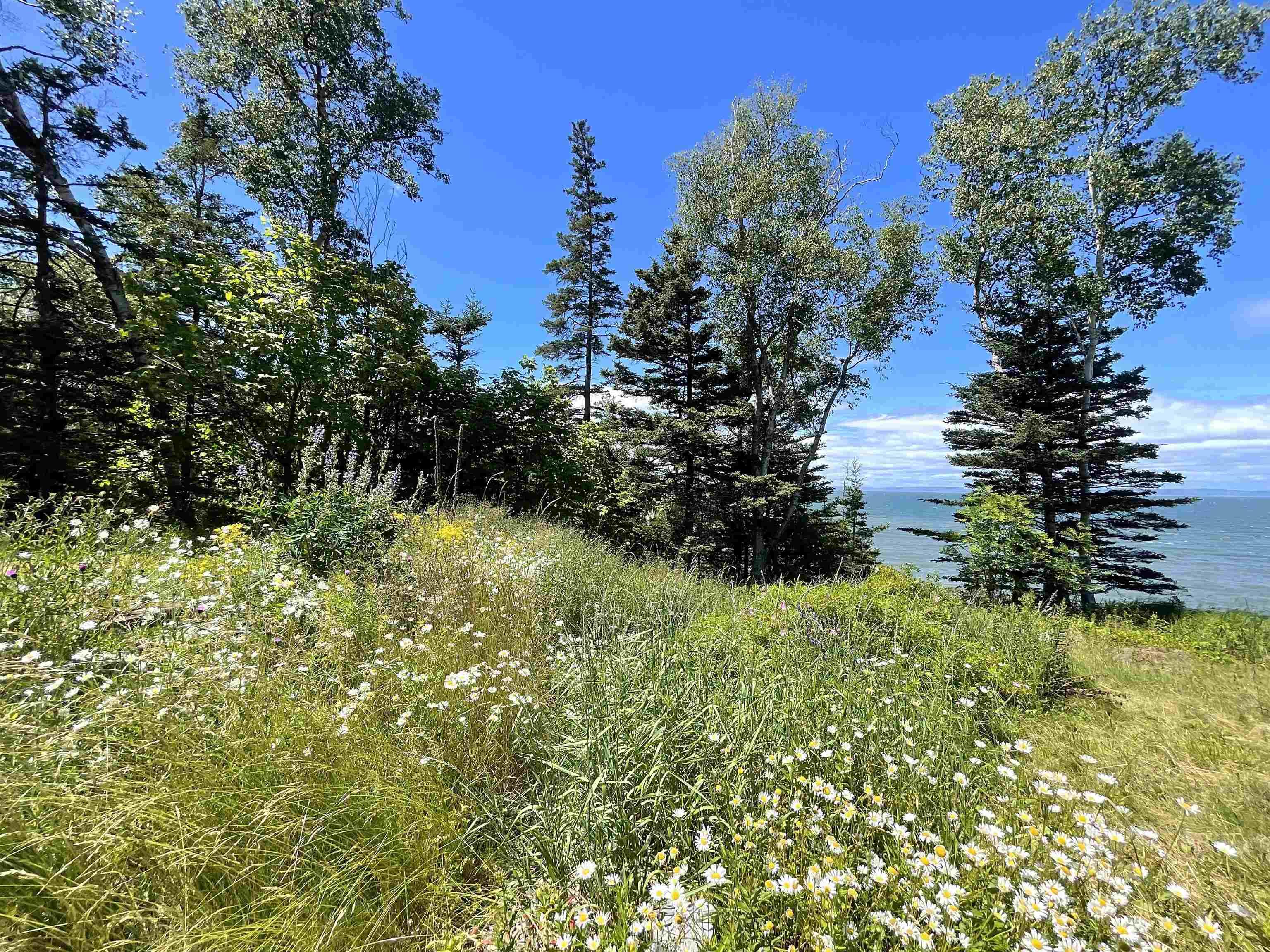 $299,900.00: 427 Old Baxter Mill Road, Baxters Harbour
