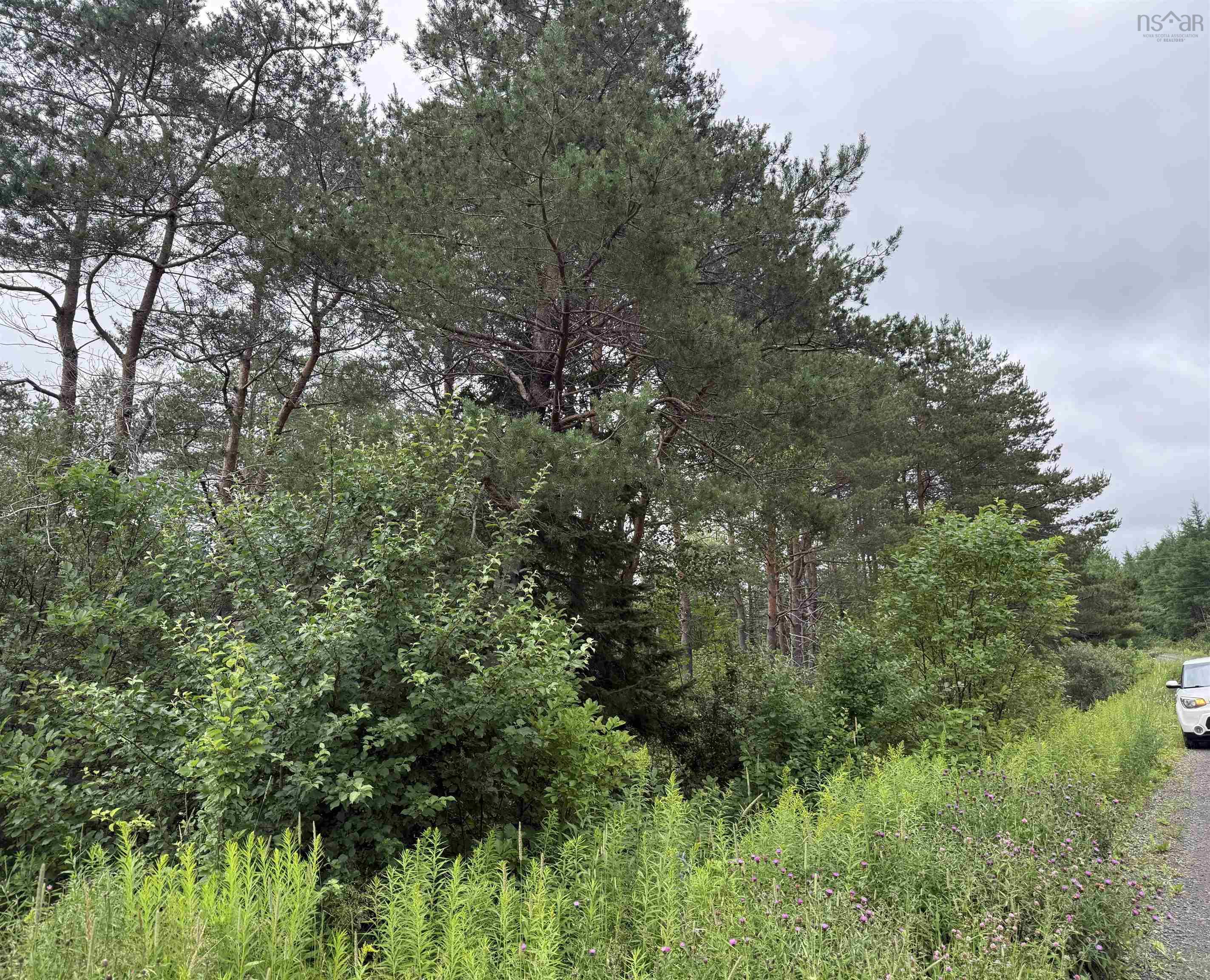 $25,000.00: Lot 1 & 2 Whycocomagh Port Hood Rd. Soapstone Mine, Soapstone Mine