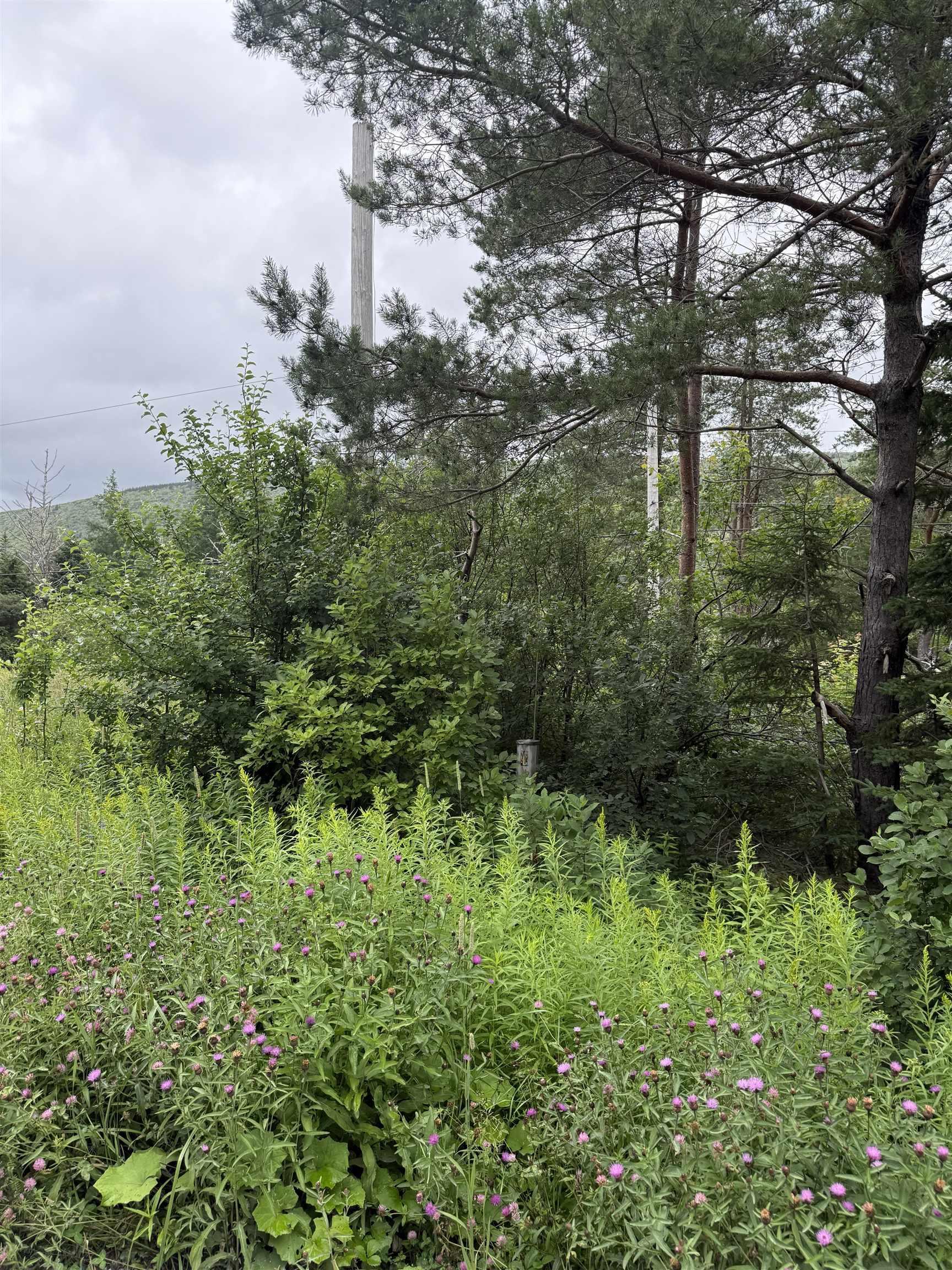 $25,000.00: Lot 1 & 2 Whycocomagh Port Hood Rd. Soapstone Mine, Soapstone Mine