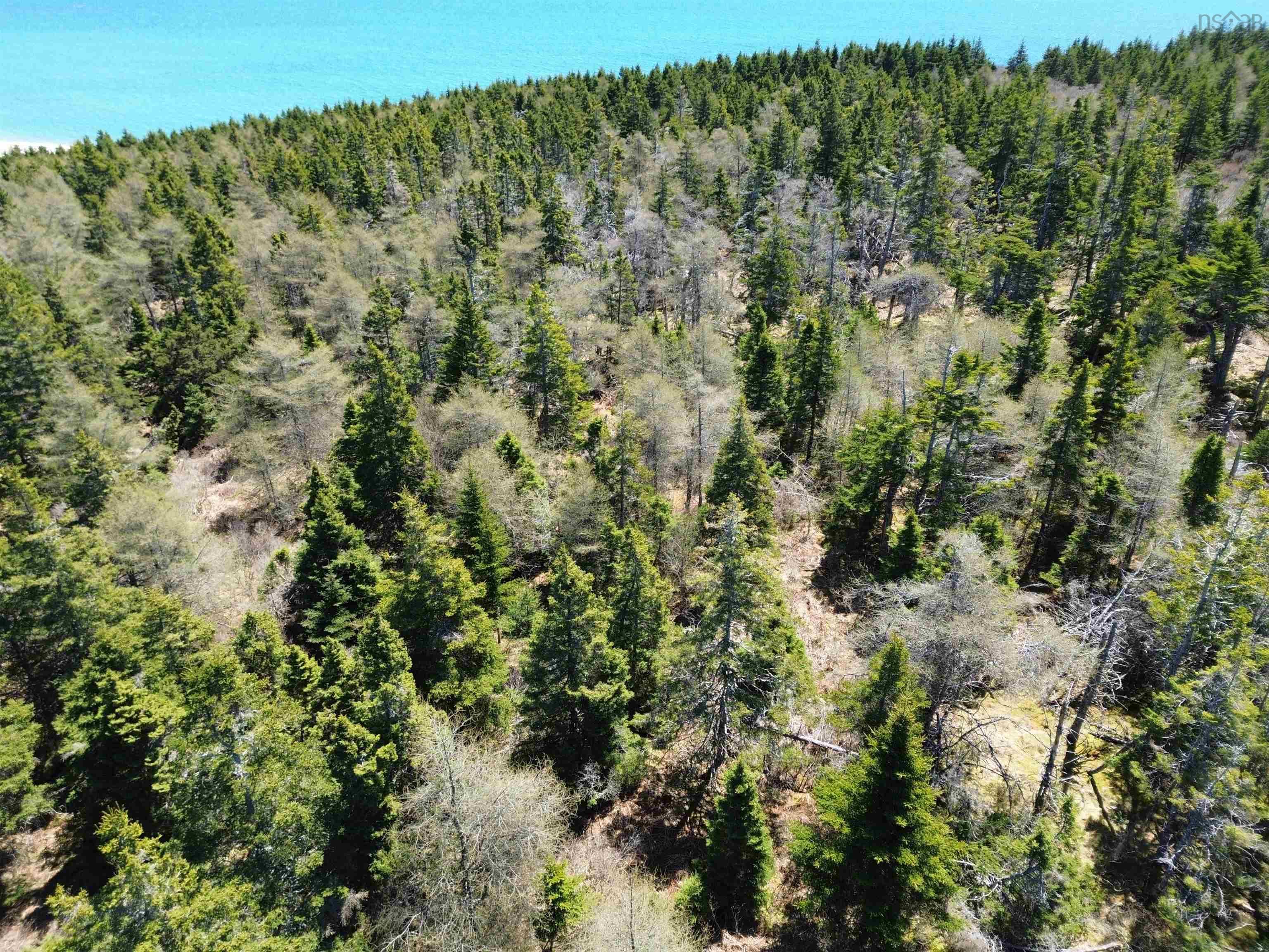 $65,000.00: Lot 24-11 Crooked Lake Road, Framboise