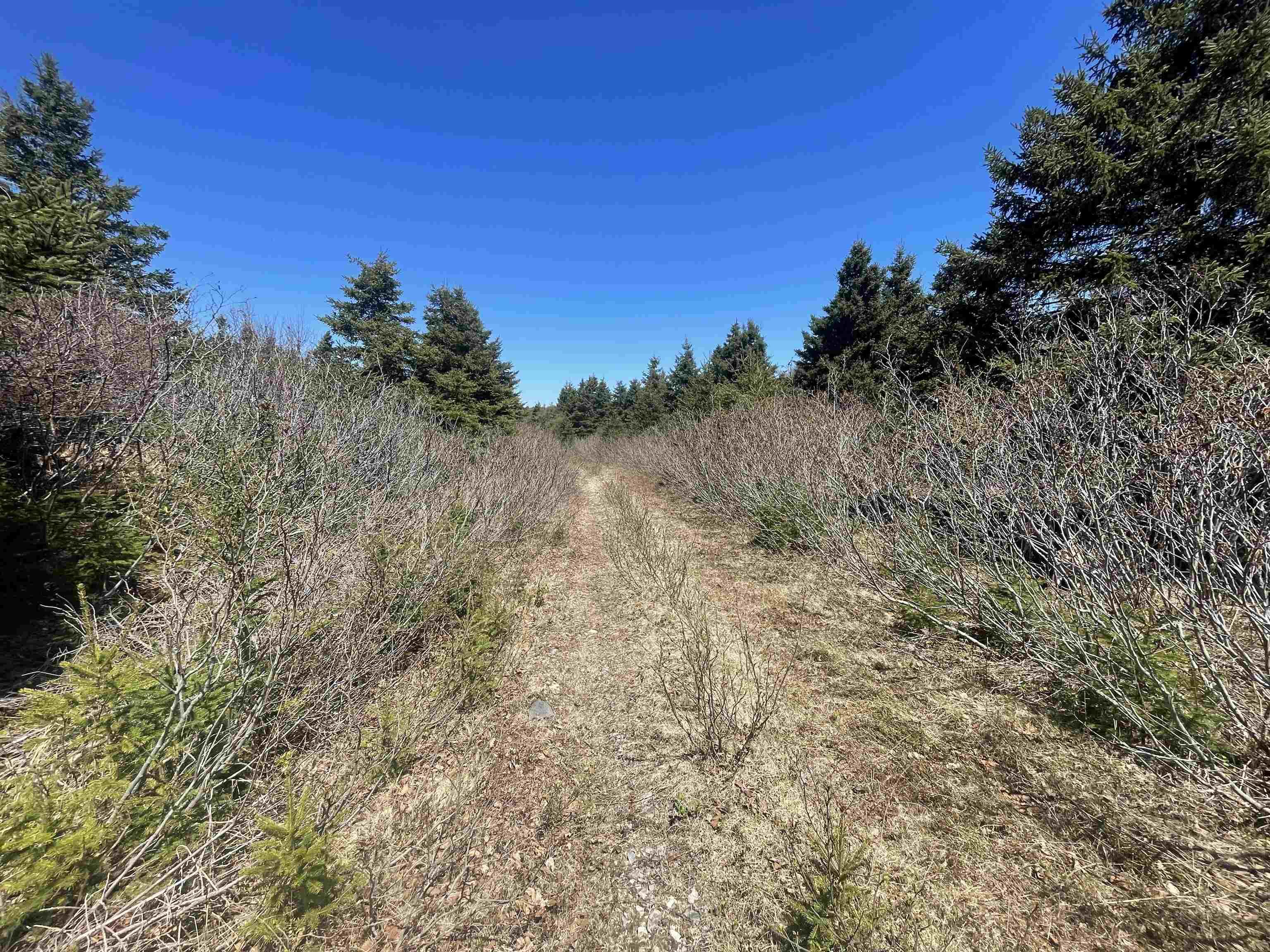$65,000.00: Lot 24-11 Crooked Lake Road, Framboise
