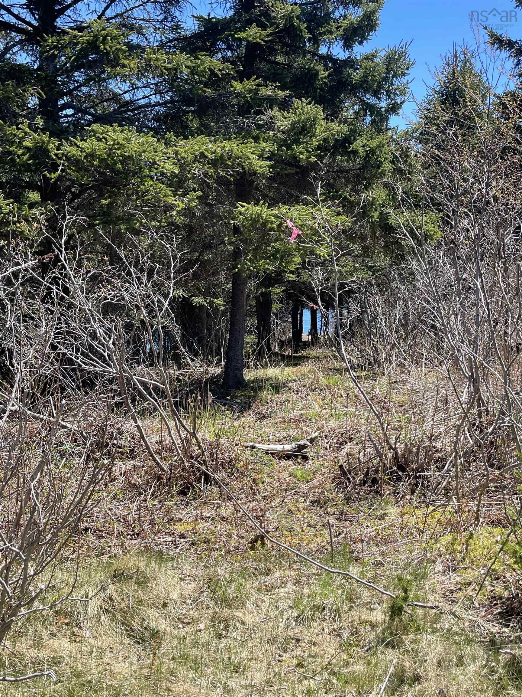 $65,000.00: Lot 24-11 Crooked Lake Road, Framboise