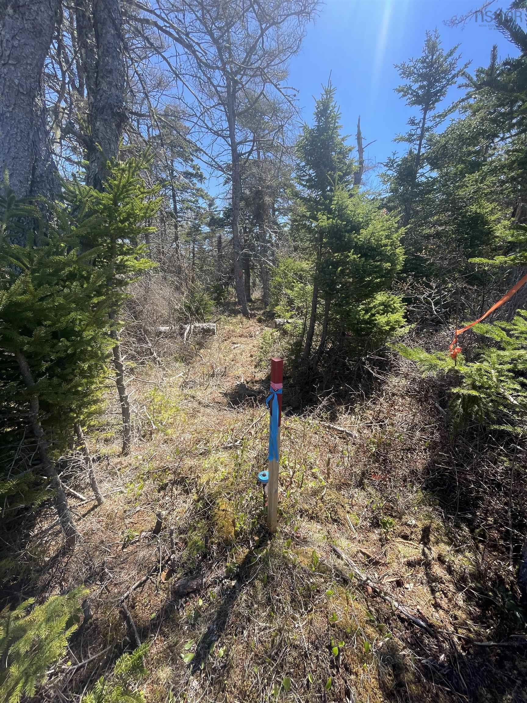 $65,000.00: Lot 24-11 Crooked Lake Road, Framboise