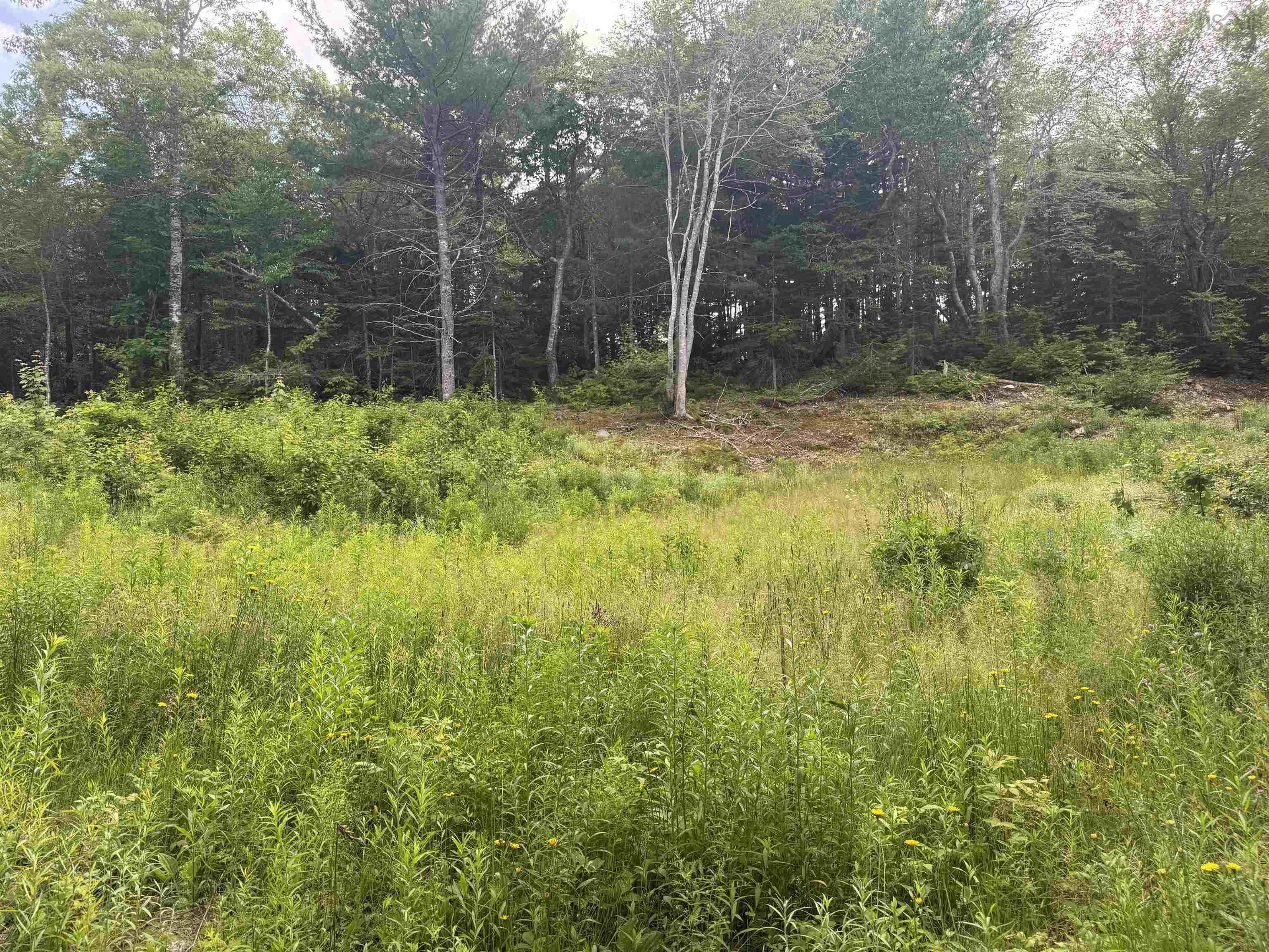 $165,000.00: Lot 5 Cabot Trail, Ingonish