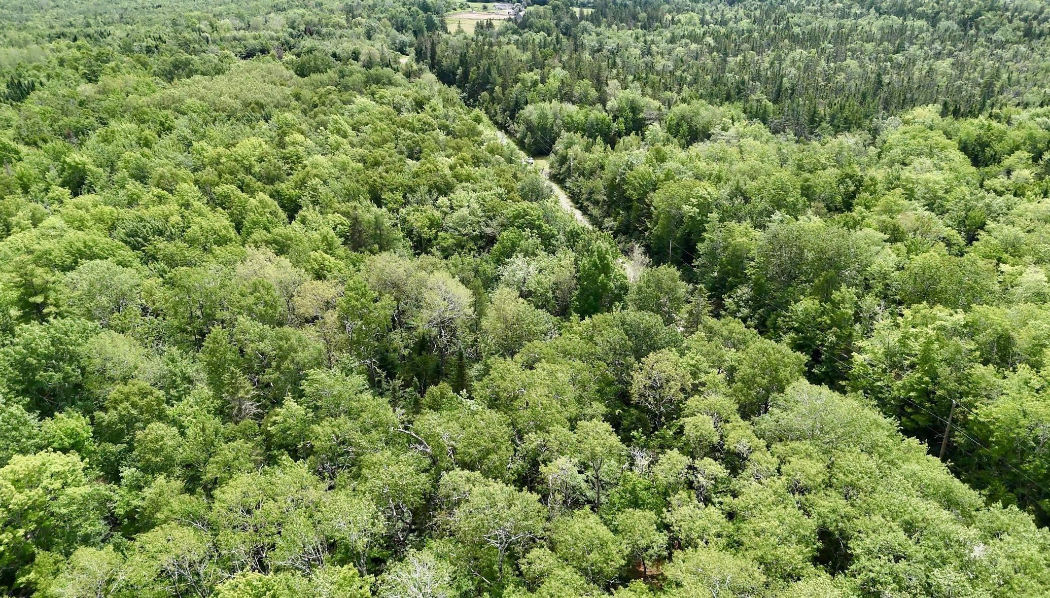 $49,900.00: Lot Jones Road, Murphy Lake