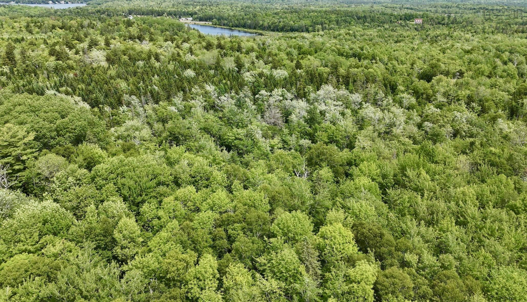 $49,900.00: Lot Jones Road, Murphy Lake