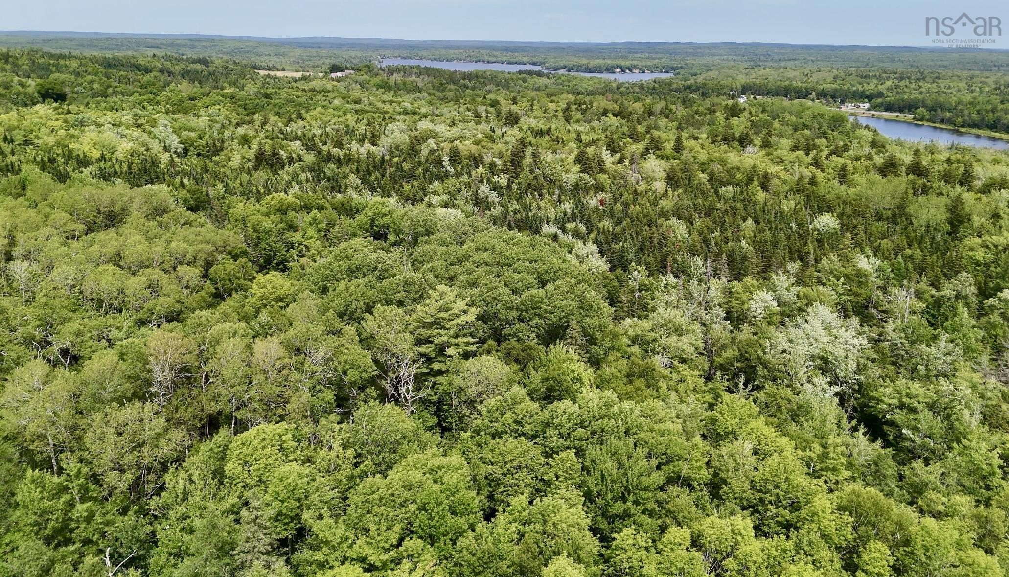 $49,900.00: Lot Jones Road, Murphy Lake