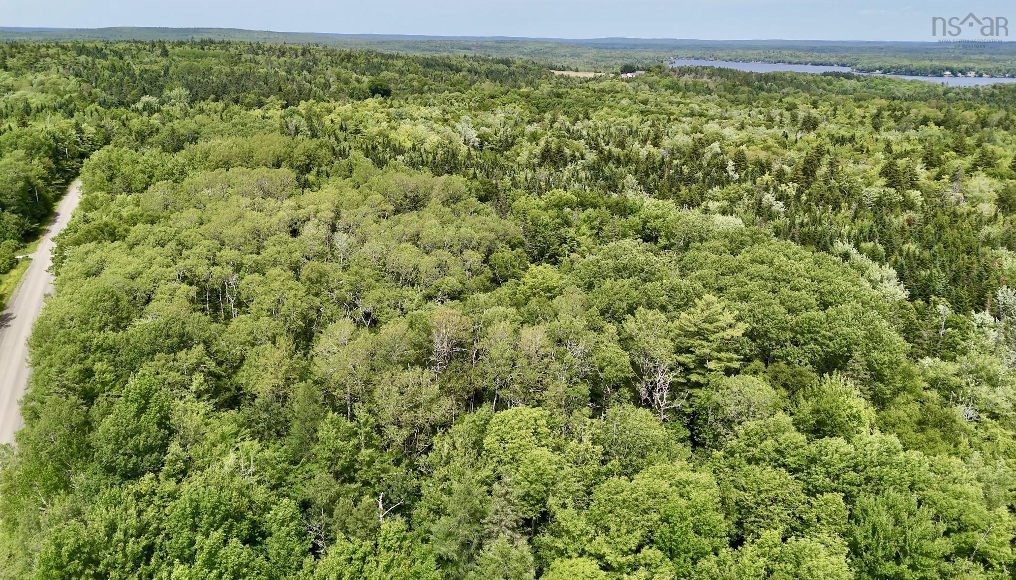 $49,900.00: Lot Jones Road, Murphy Lake