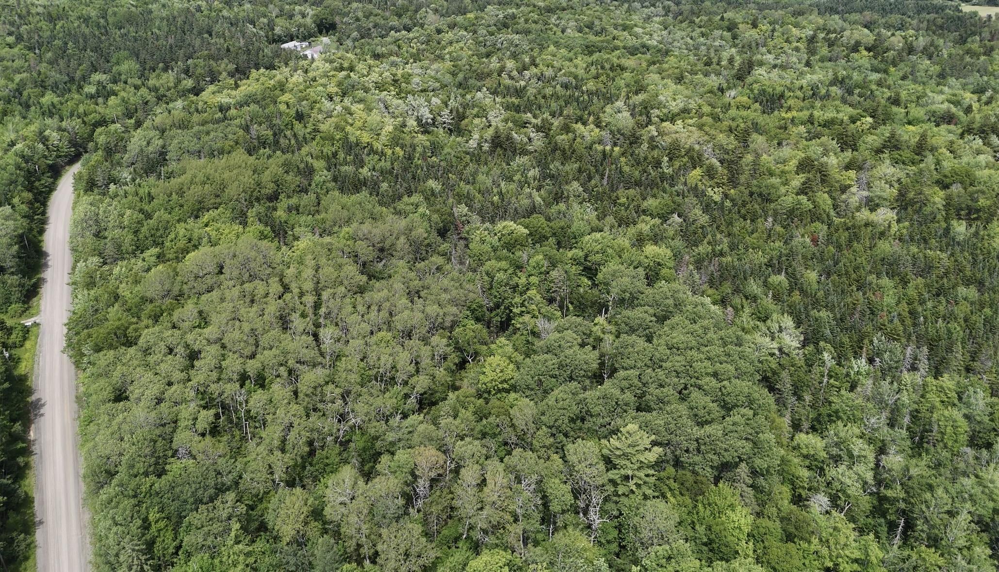 $49,900.00: Lot Jones Road, Murphy Lake