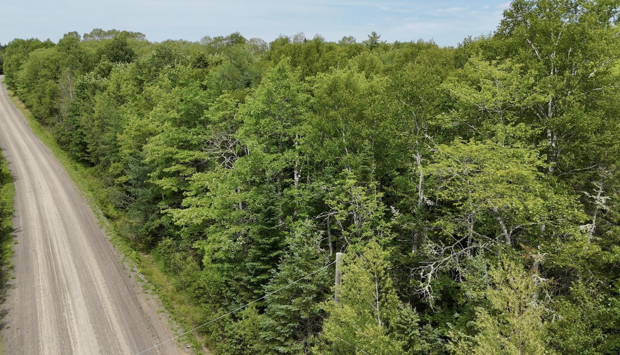 $49,900.00: Lot Jones Road, Murphy Lake
