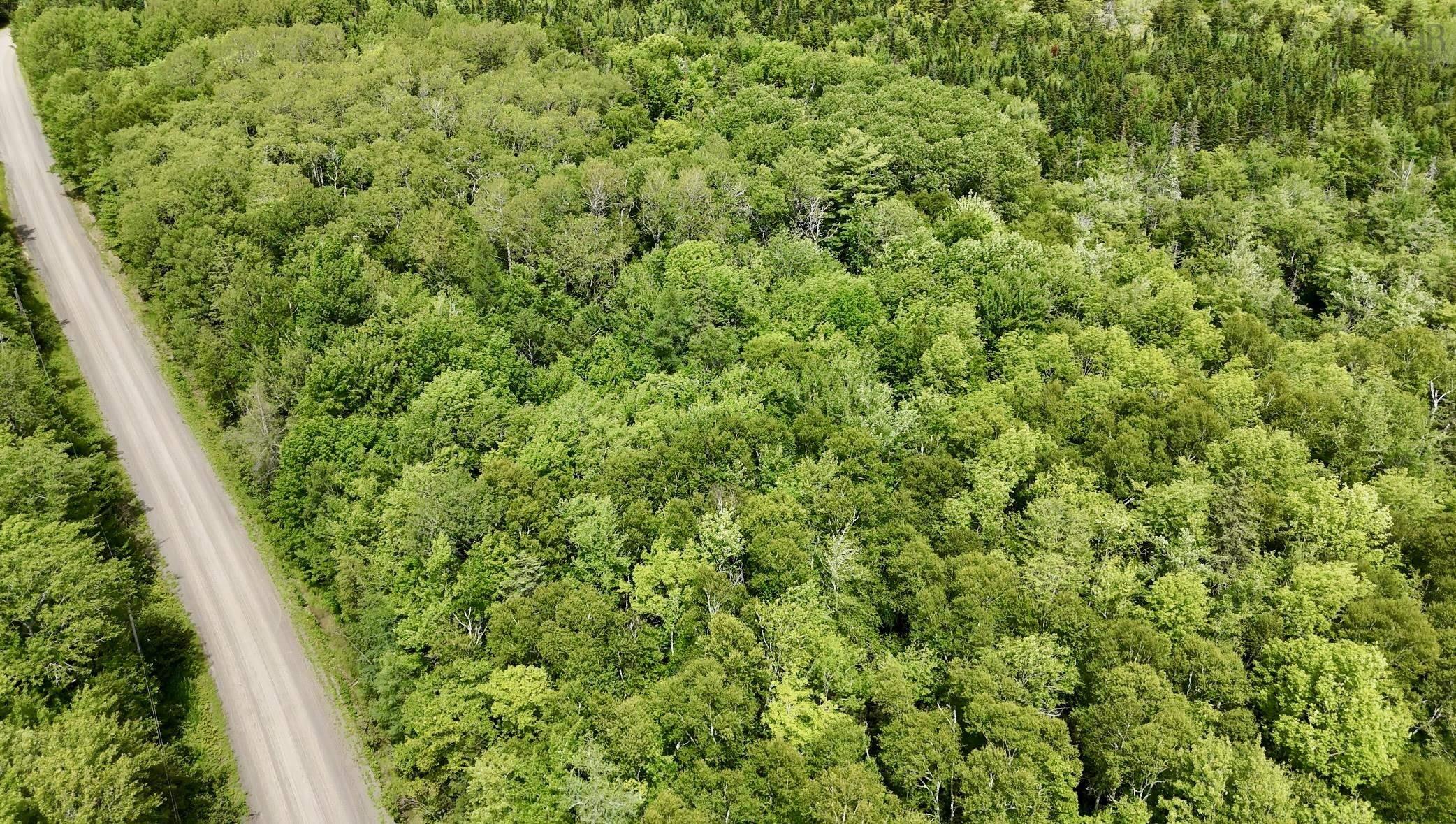 $49,900.00: Lot Jones Road, Murphy Lake