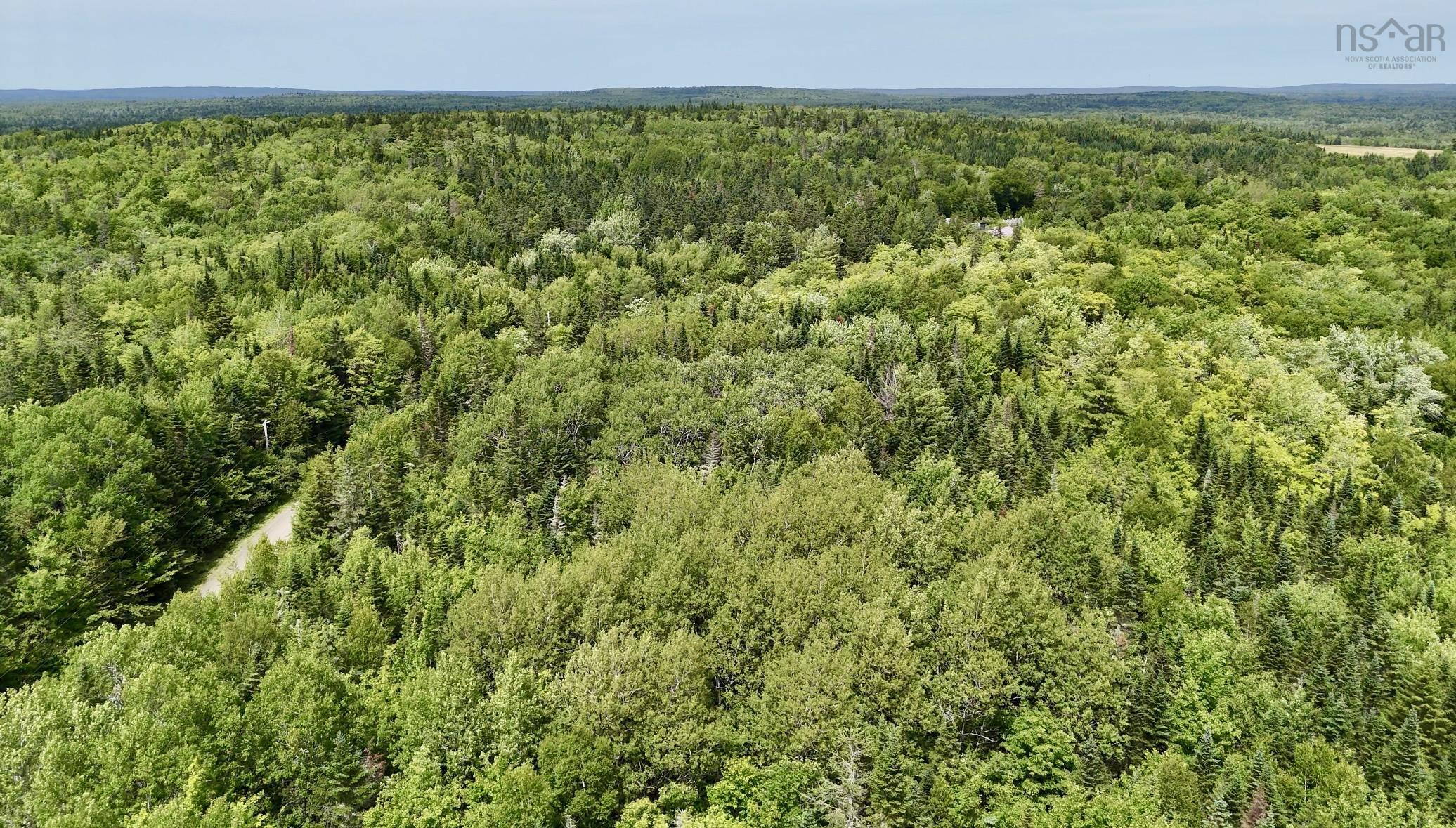 $49,900.00: Lot Jones Road, Murphy Lake