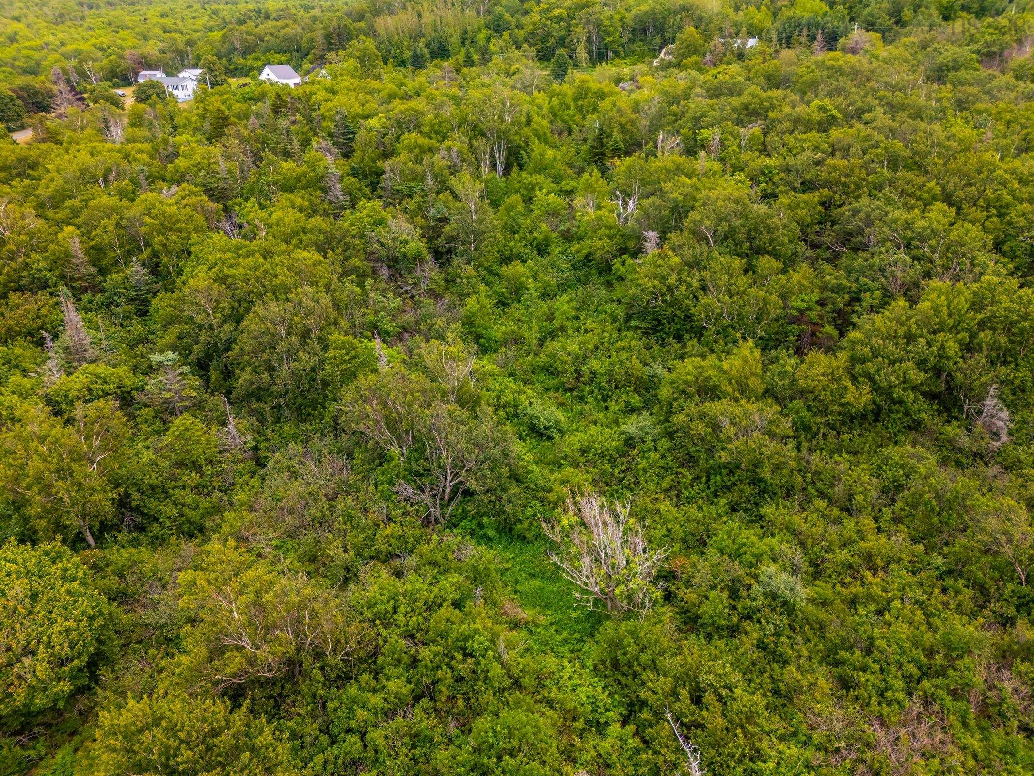$175,000.00: Lot 1 Shore Road W, Parkers Cove