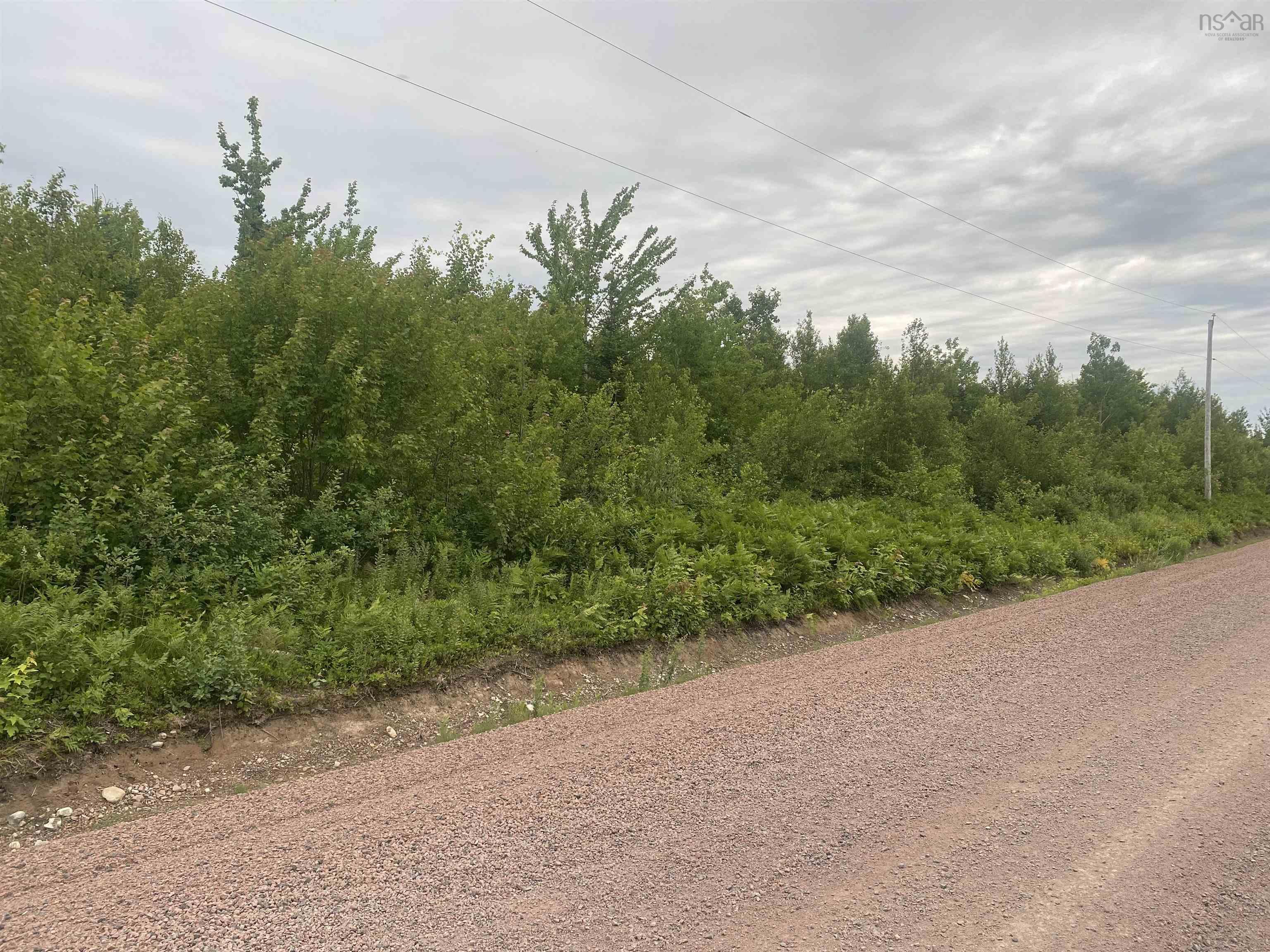 $23,500.00: Lot 8 College Grant Road, College Grant