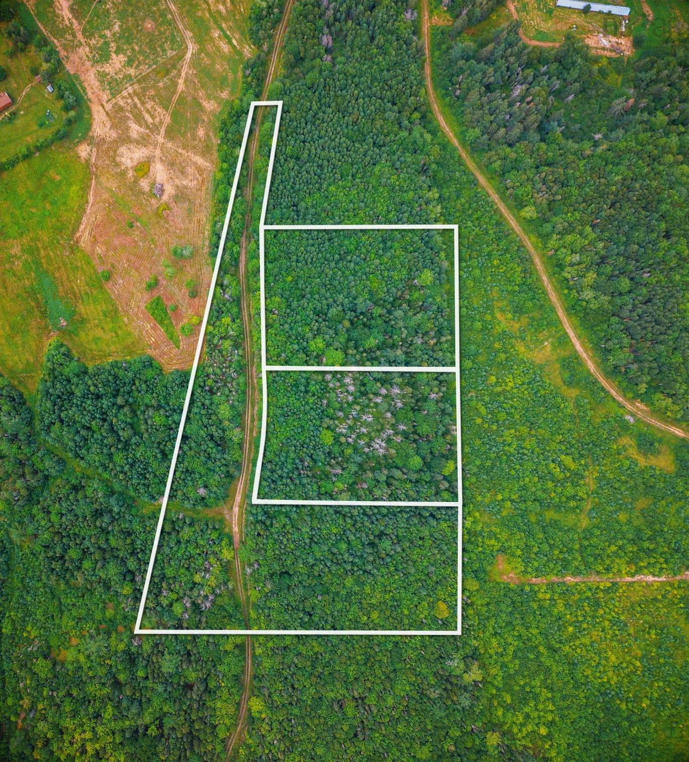 $200,000.00: Main Road, Dundee