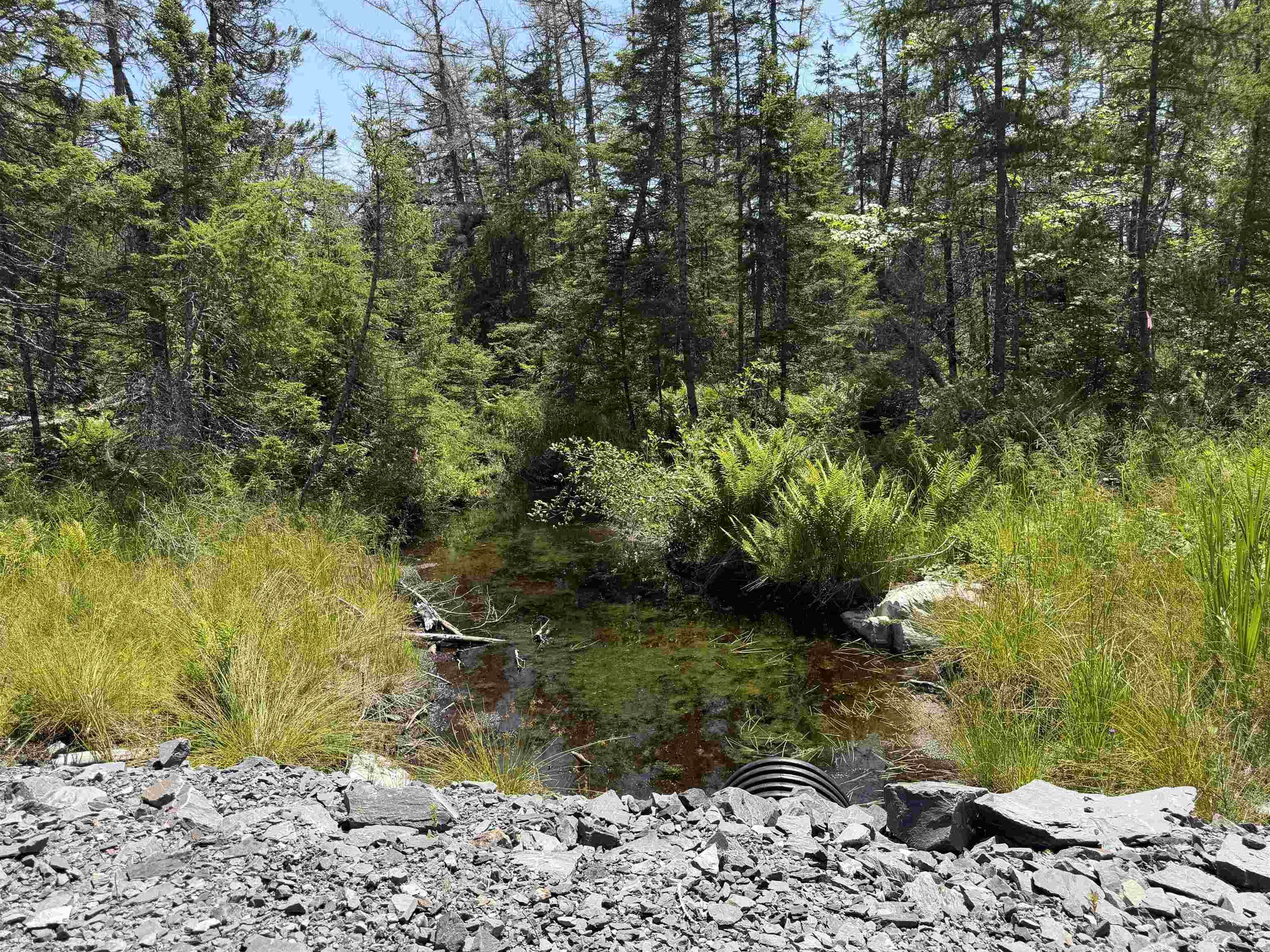 19653 Highway 7, Spry Bay, NS (MLS 202618516)