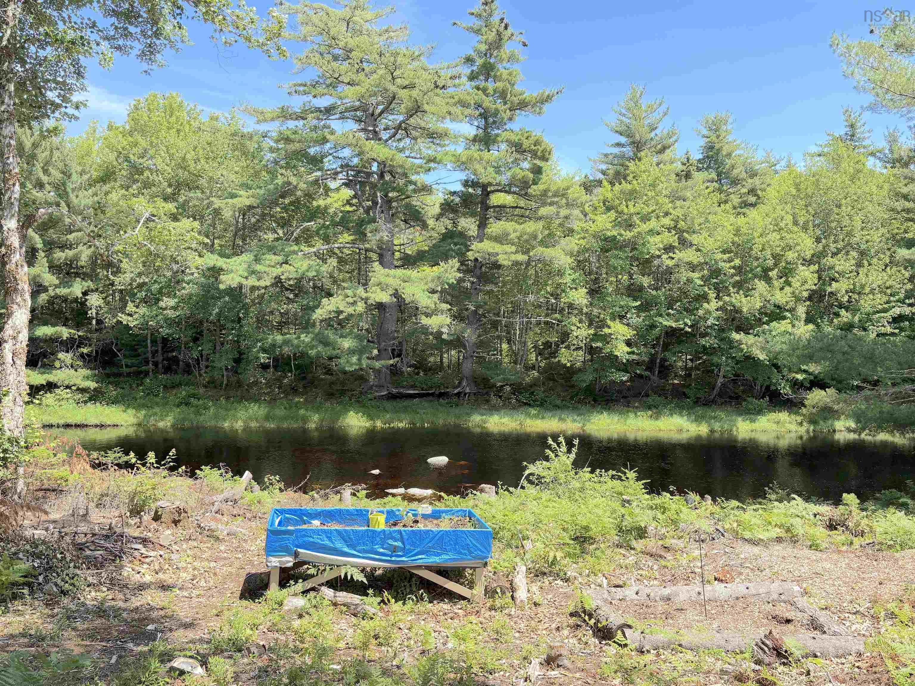 $99,999.00: 1894 highway 103, Sable River