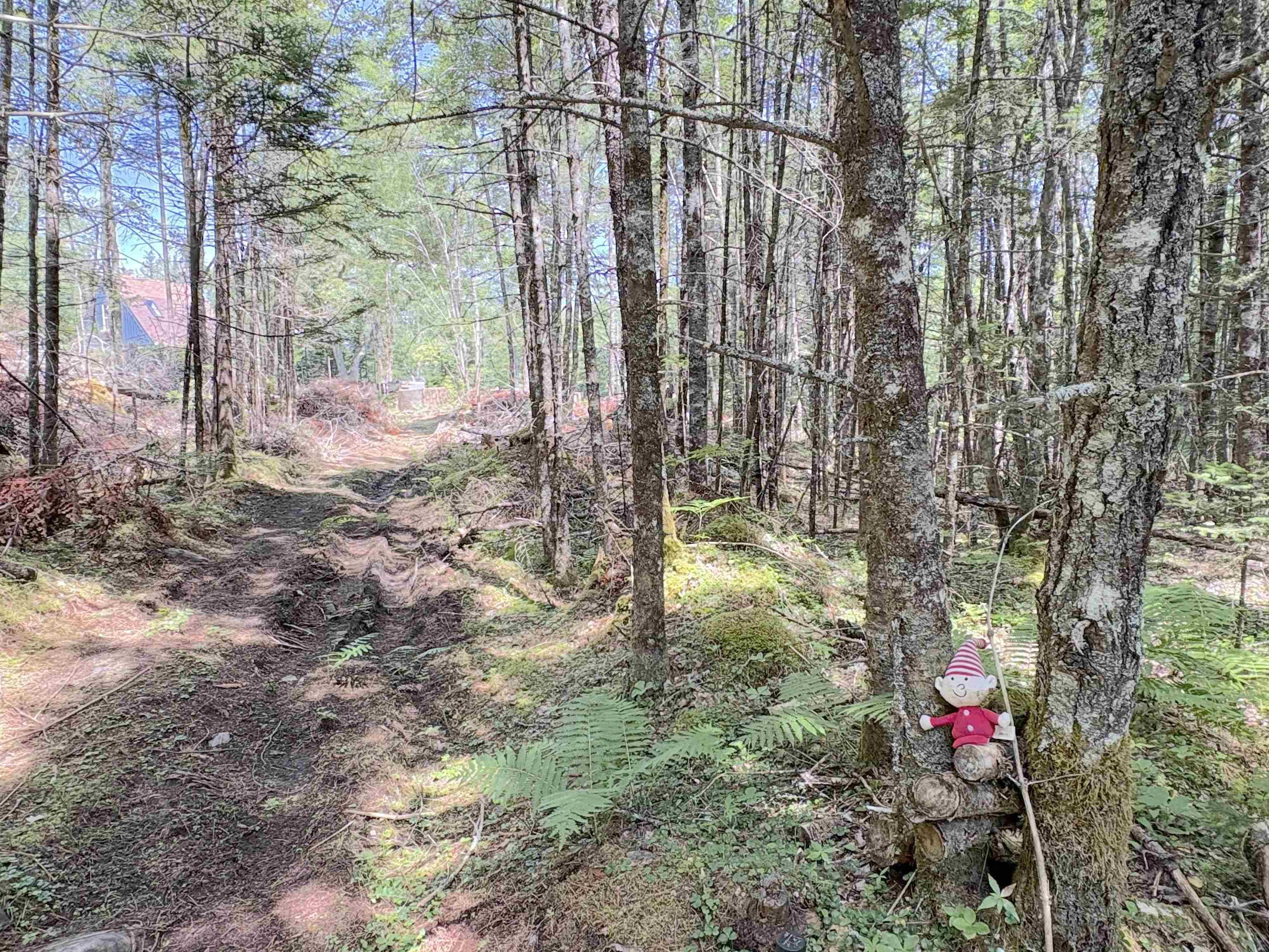 $99,999.00: 1894 highway 103, Sable River