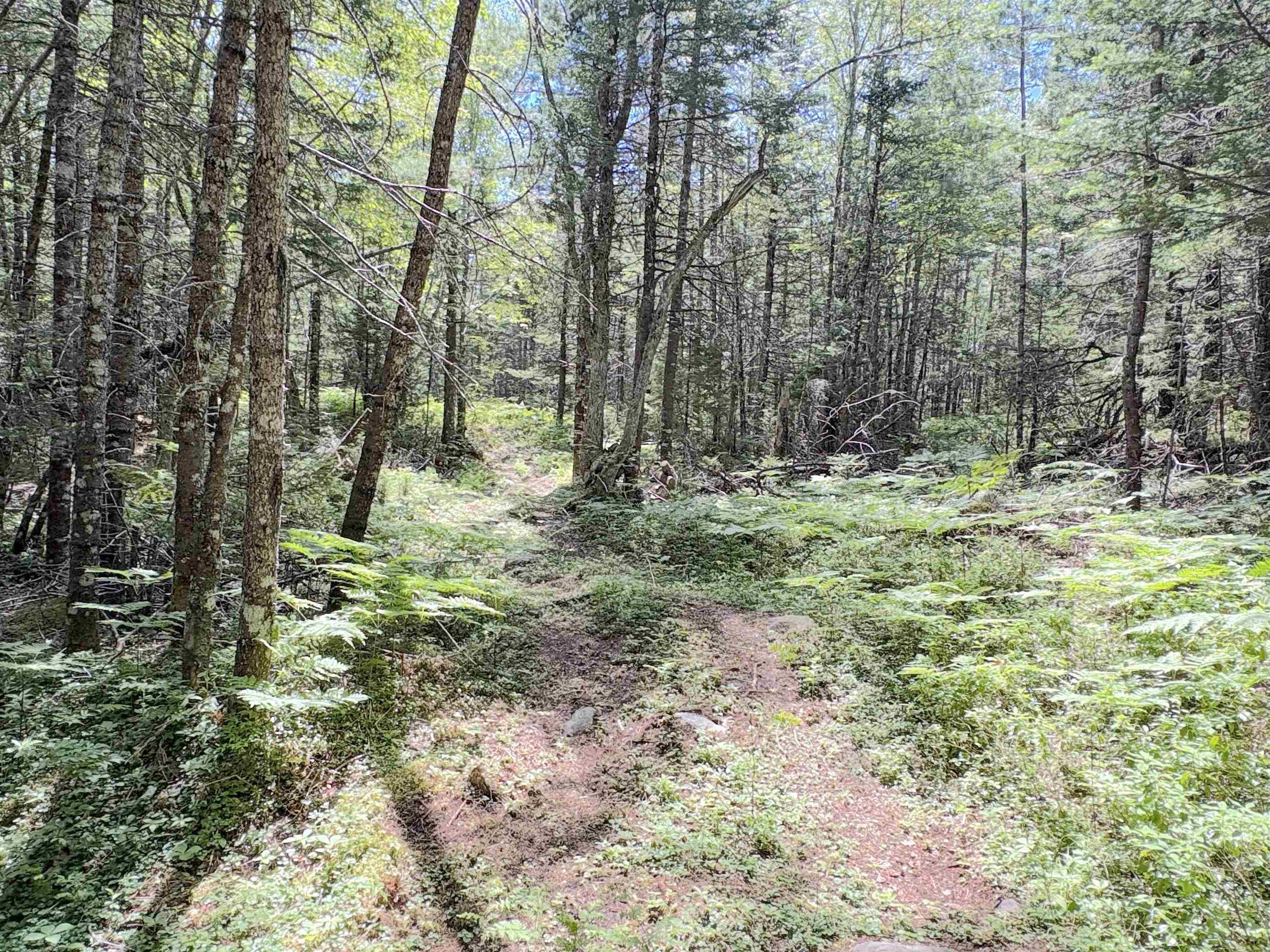 $99,999.00: 1894 highway 103, Sable River