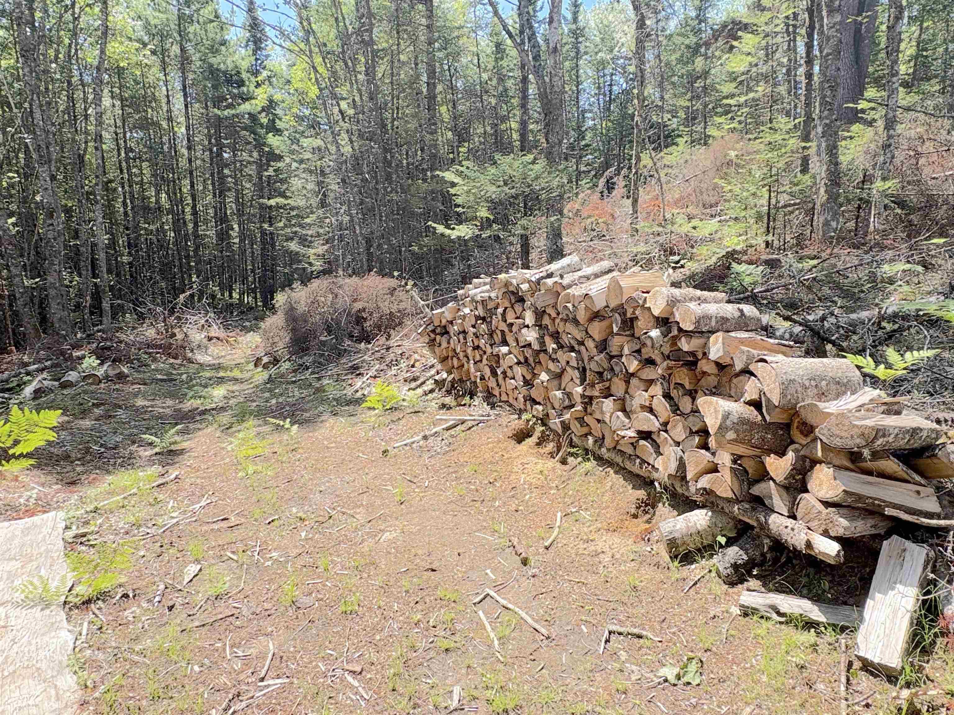 $99,999.00: 1894 highway 103, Sable River