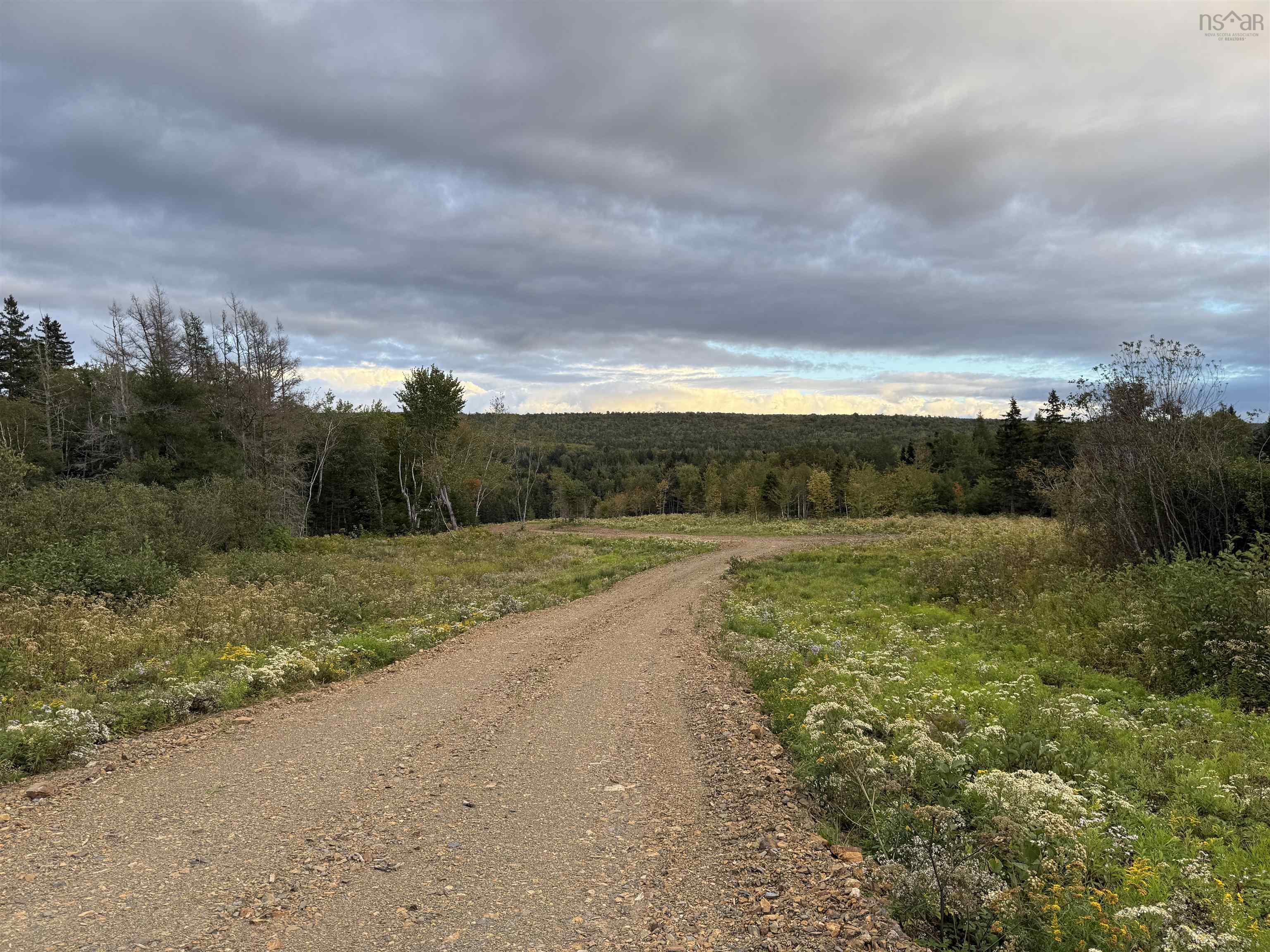 $39,500.00: Mull River Road, Mabou
