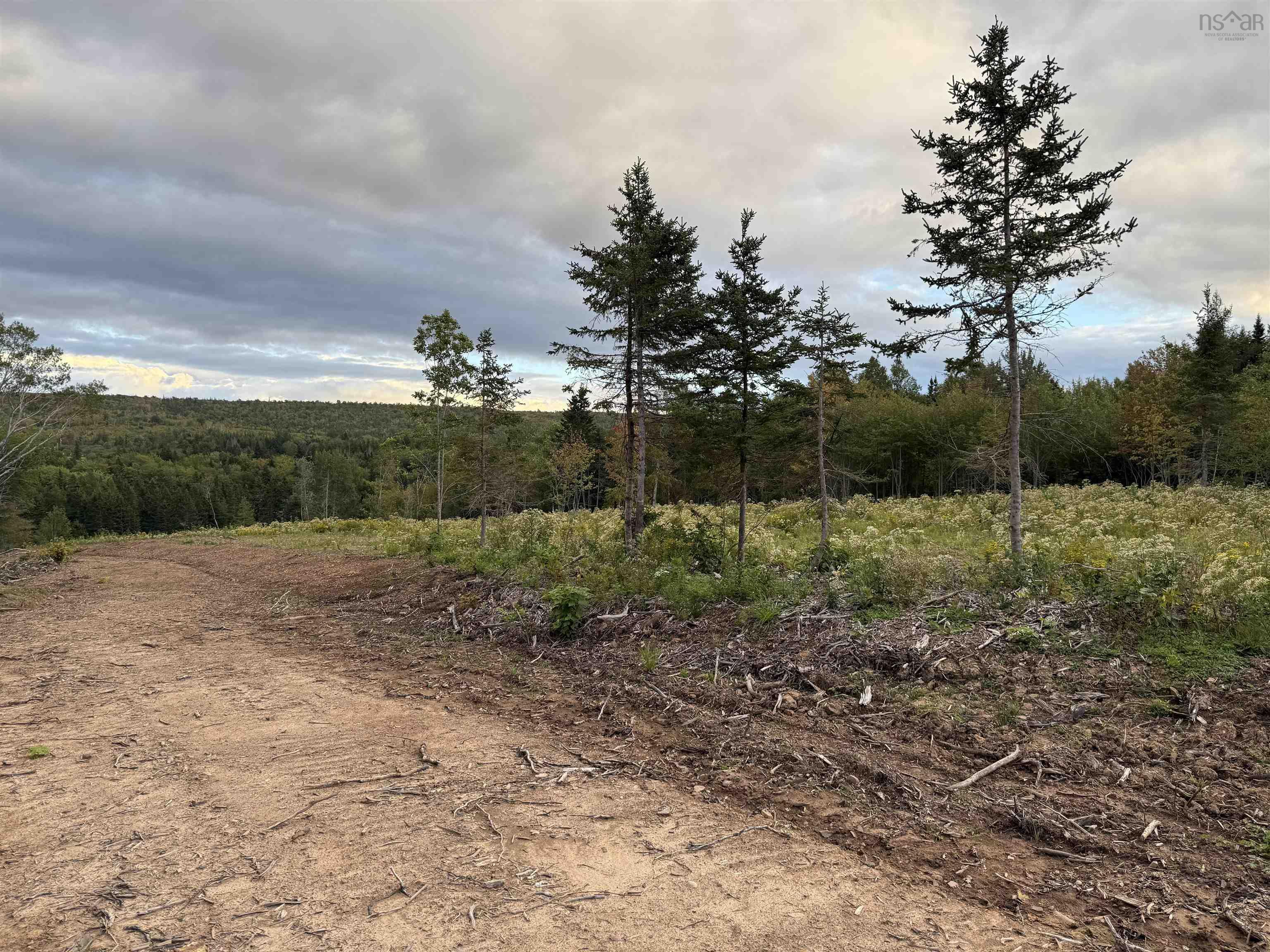 $39,500.00: Mull River Road, Mabou