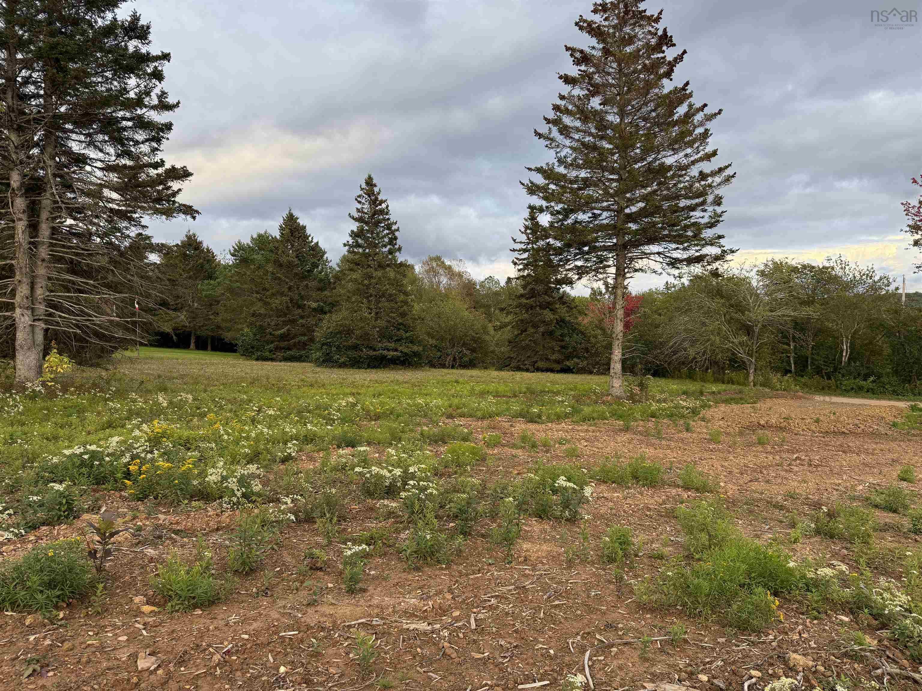 $19,900.00: Lot 25 Mull River Road, Mabou