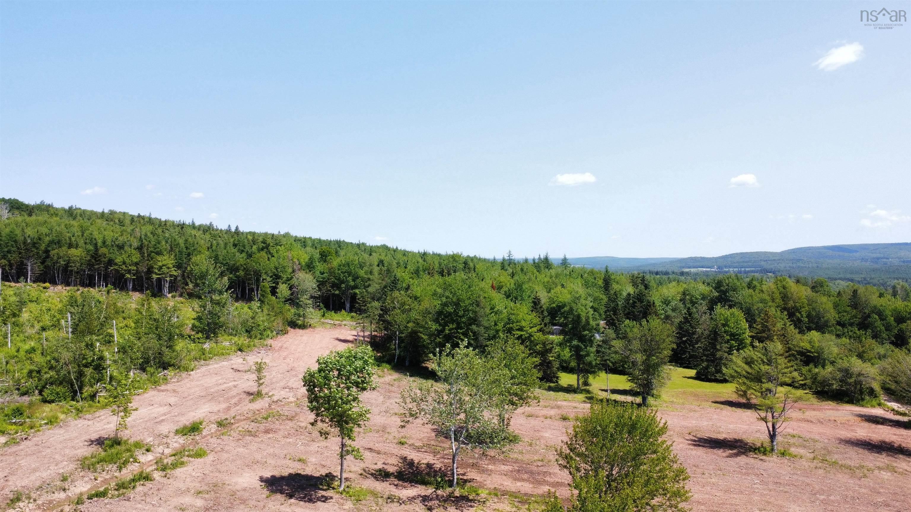 $19,900.00: Lot 25 Mull River Road, Mabou