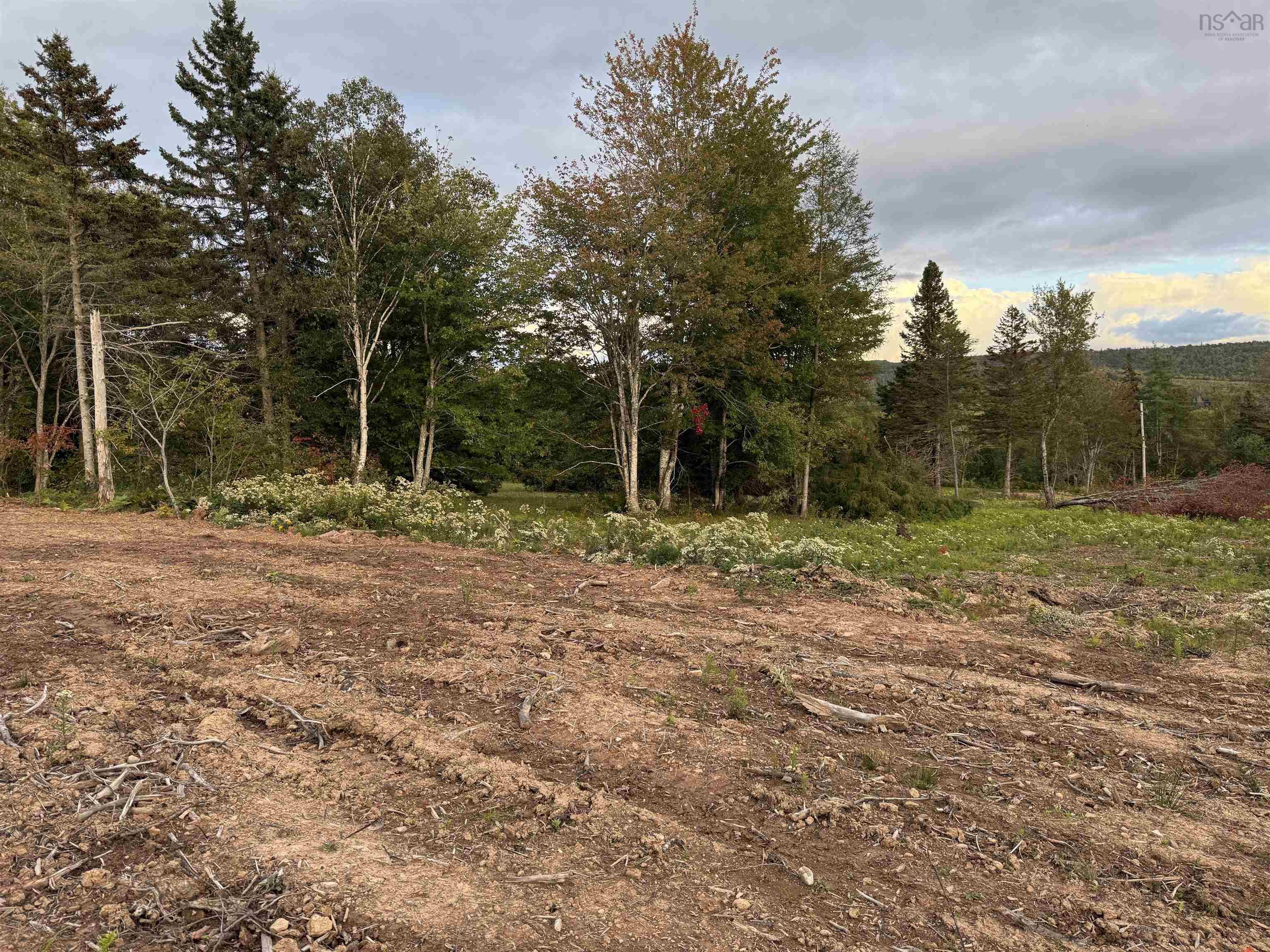 $19,900.00: Lot 25 Mull River Road, Mabou