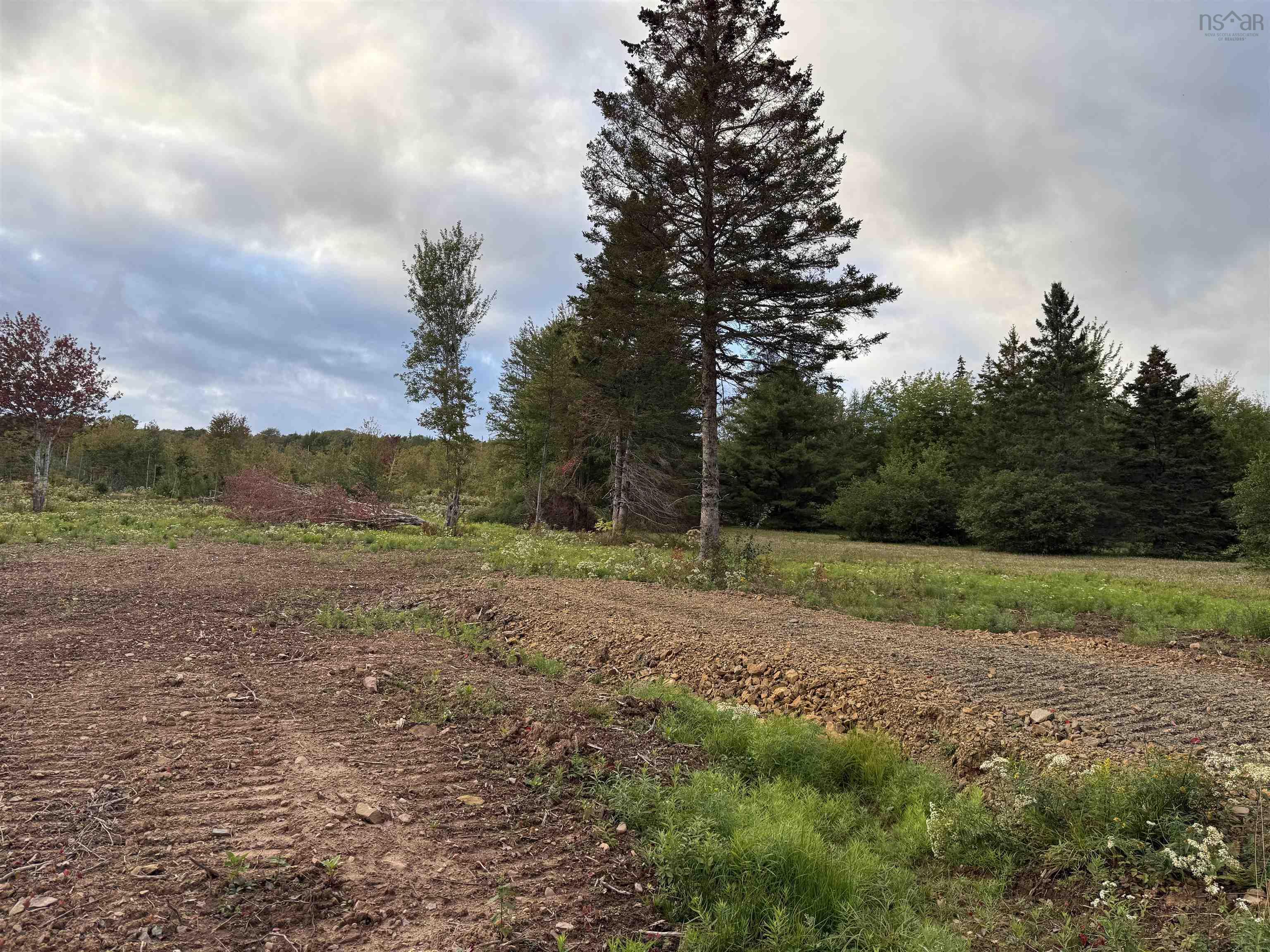$19,900.00: Lot 25 Mull River Road, Mabou
