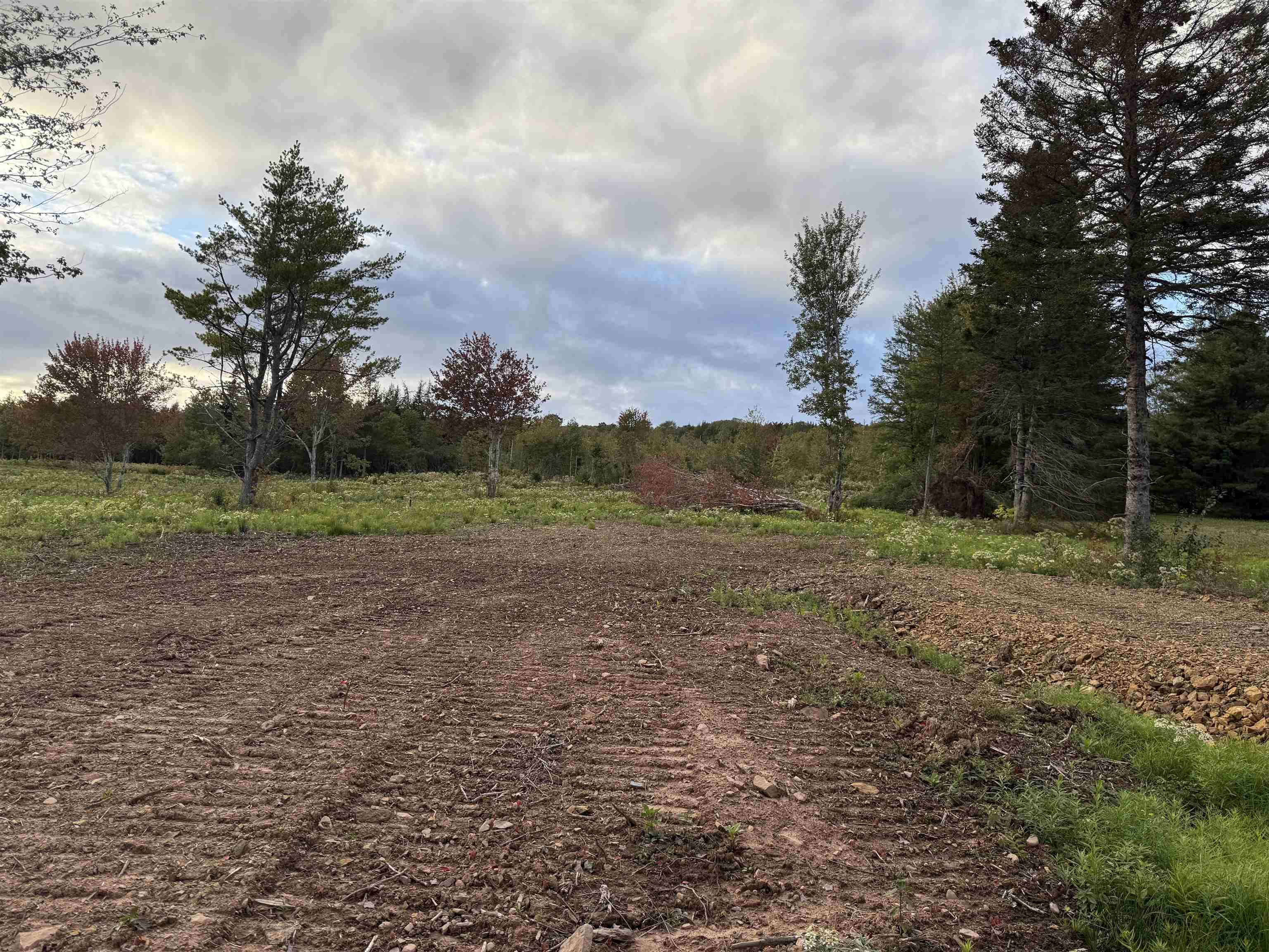 $19,900.00: Lot 25 Mull River Road, Mabou