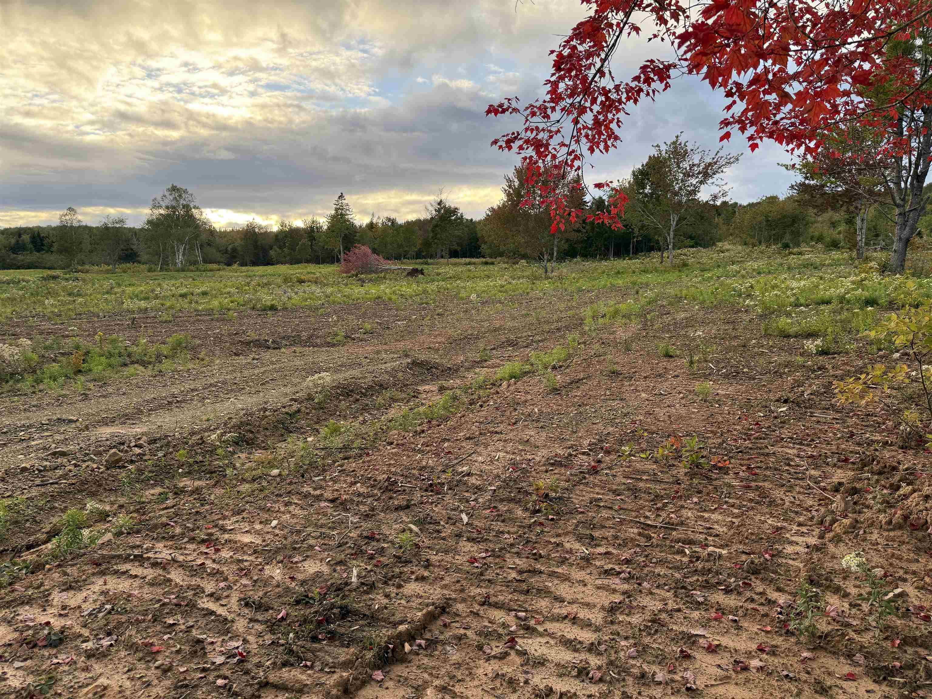 $19,900.00: Lot 25 Mull River Road, Mabou