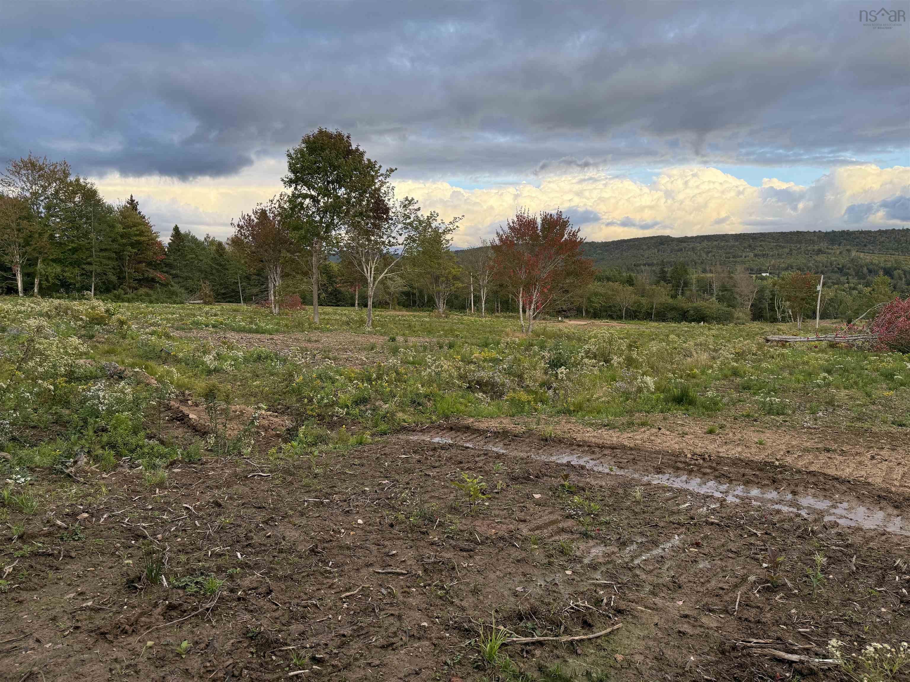 $19,900.00: Lot 26 Mull River Road, Mabou