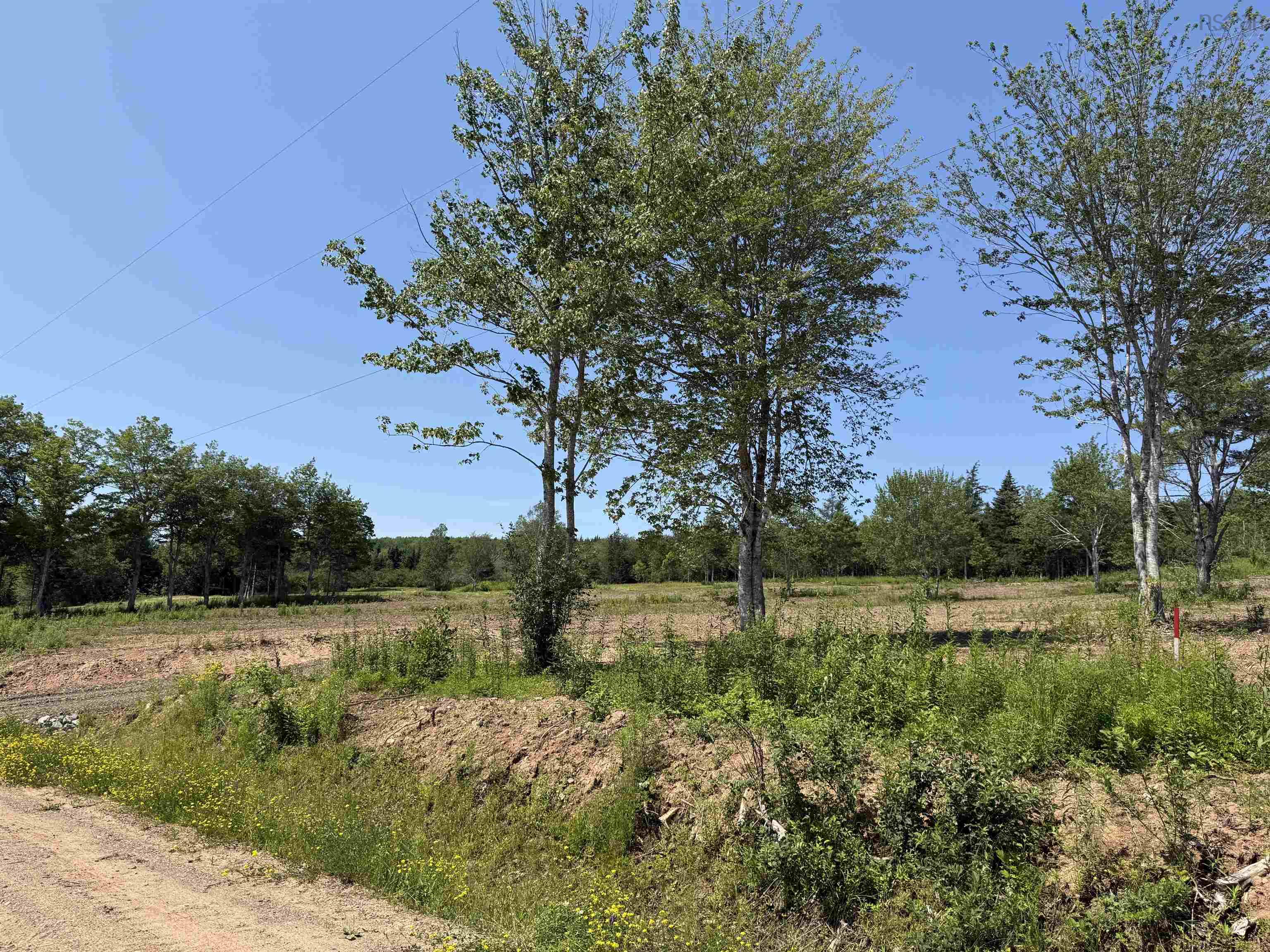 $19,900.00: Lot 26 Mull River Road, Mabou
