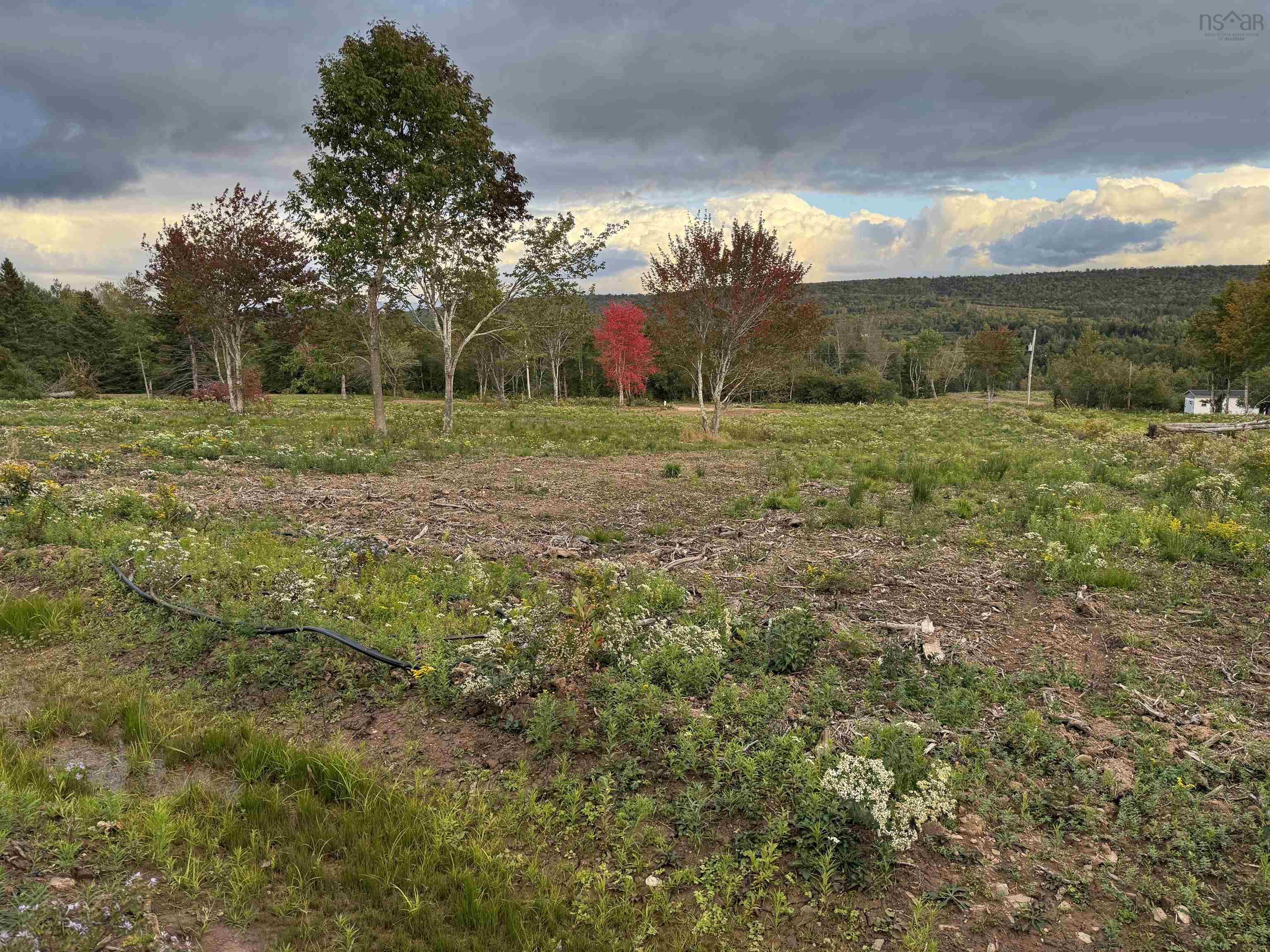 $19,900.00: Lot 26 Mull River Road, Mabou